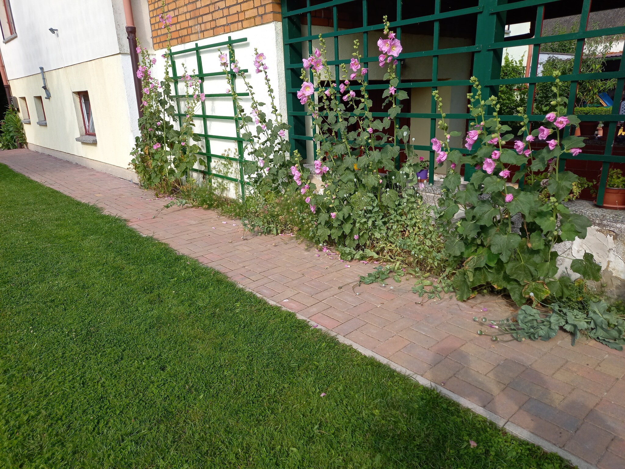 Ferienwohnung Sonnenblume