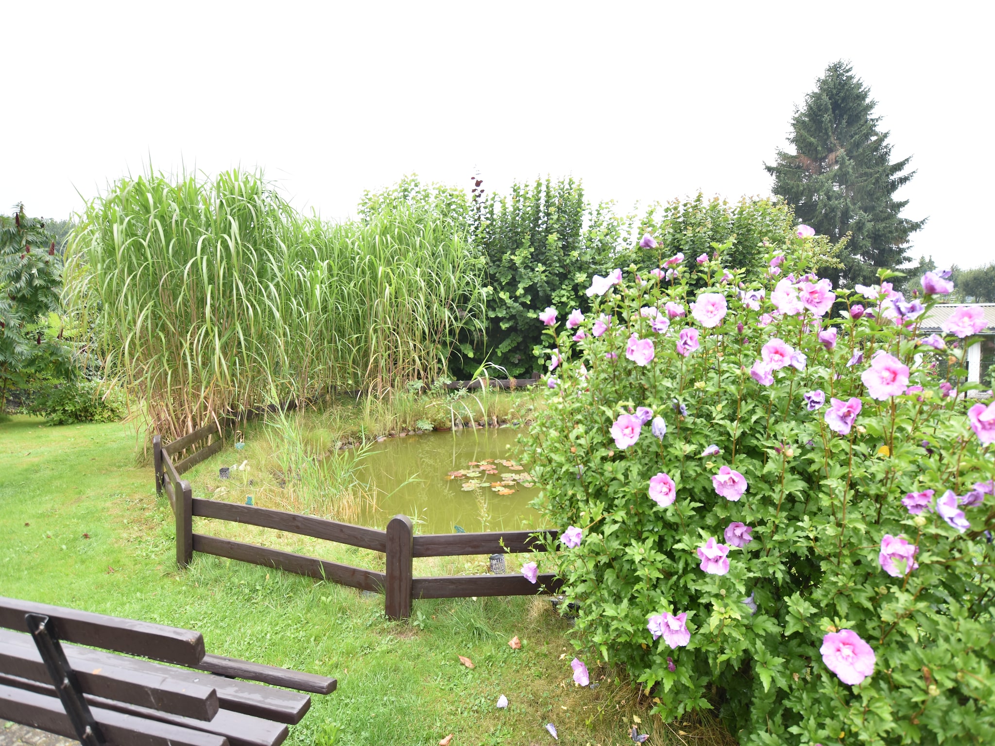 Ferienhaus Gartenteich