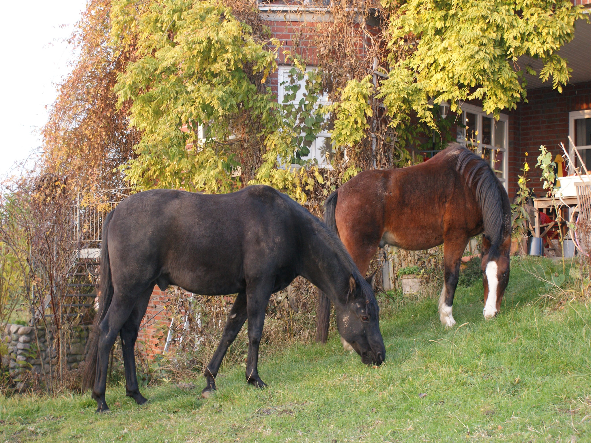 Ferienwohnung romantisches Landhaus mit Kamin