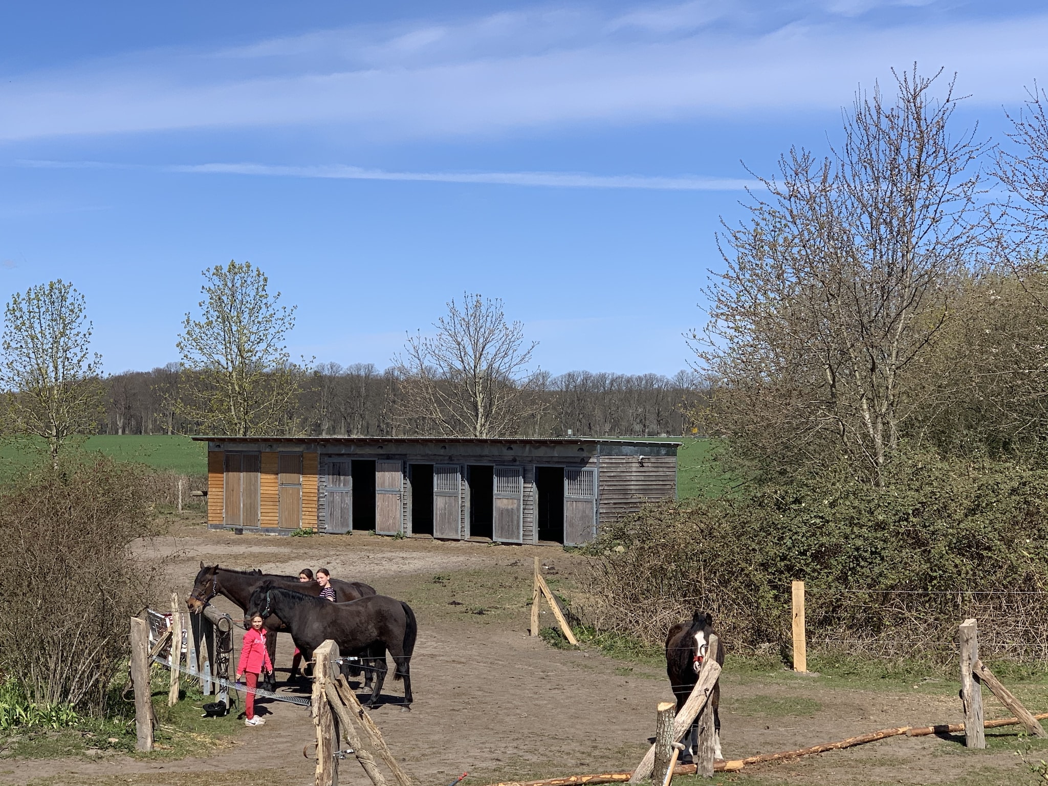 Ferienwohnung romantisches Landhaus mit Kamin