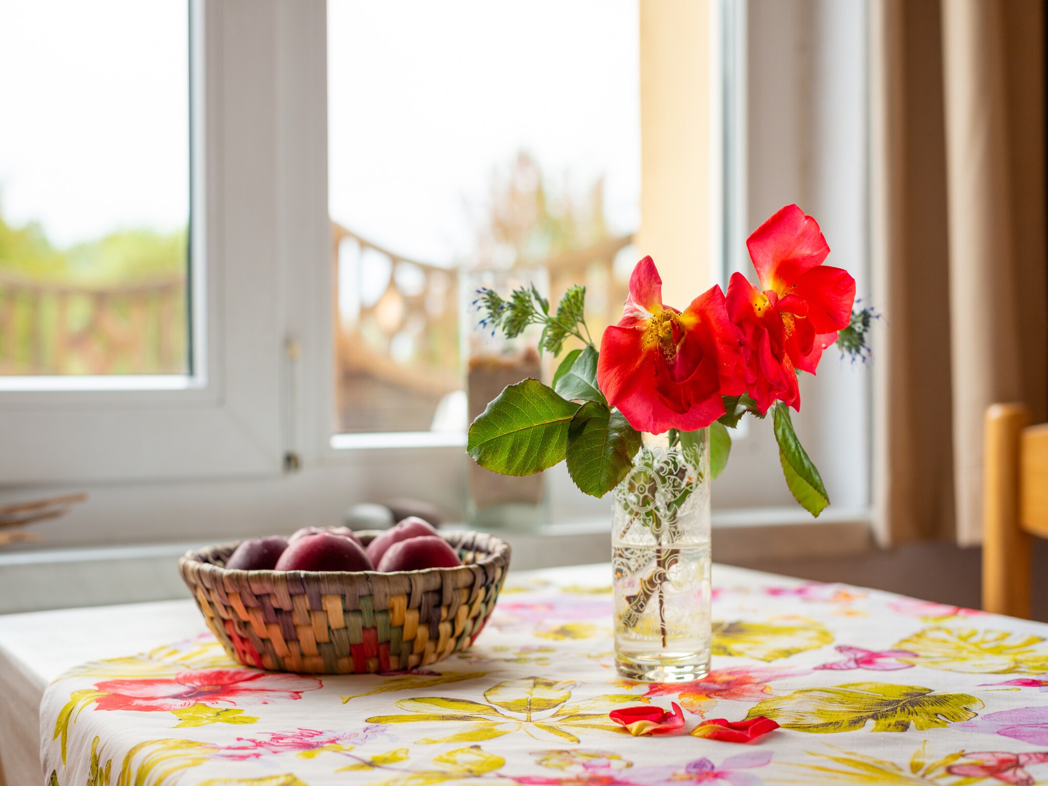 Ferienhaus Wiesenblick