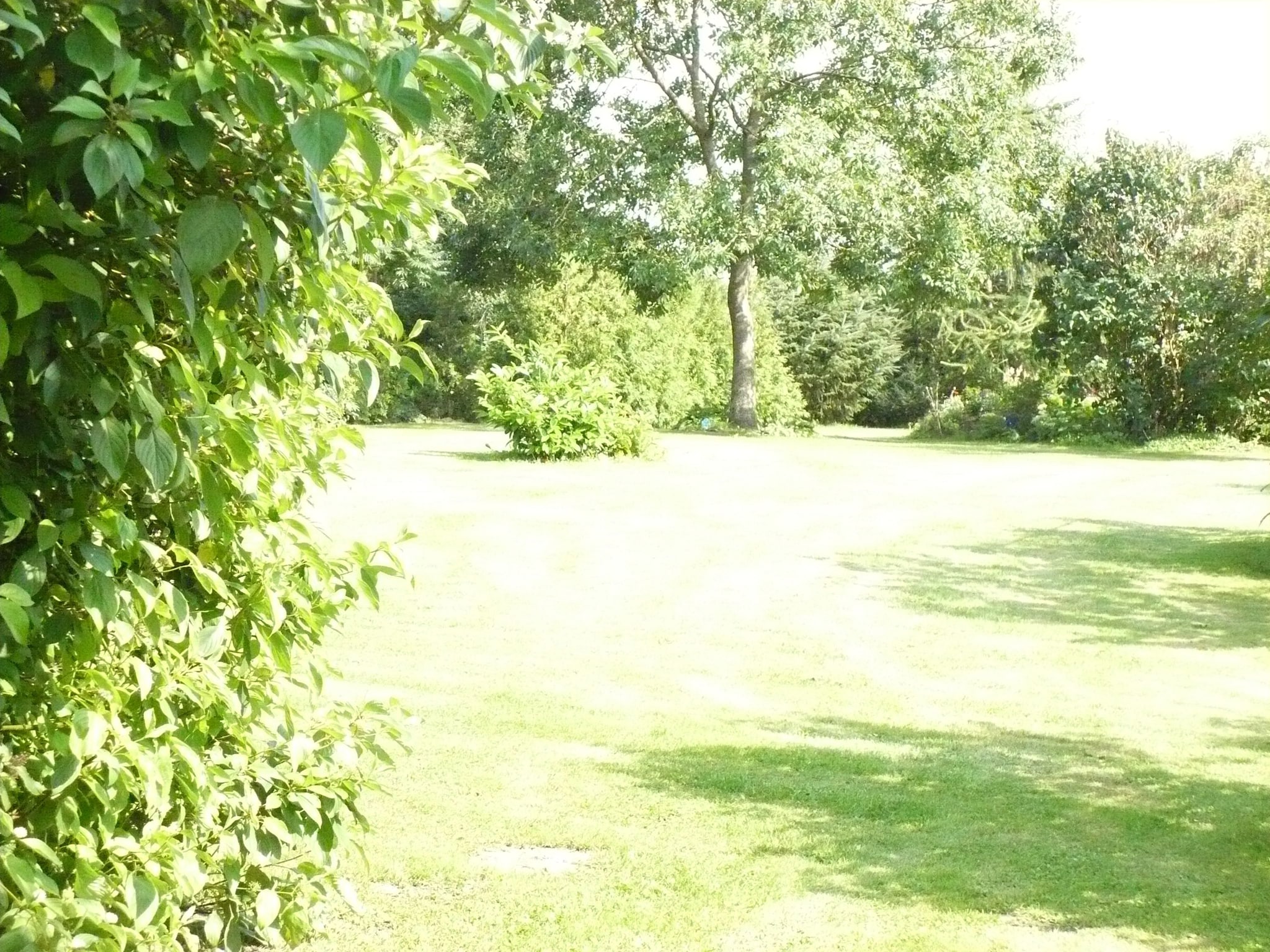 Ferienwohnung Wohnen im Grünen mit großem Garten und G