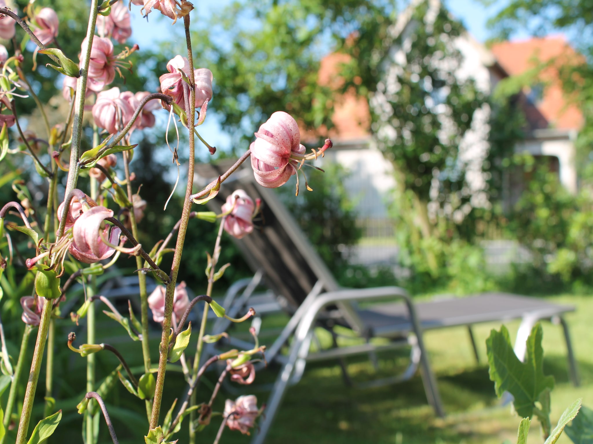 公寓 Romantische Ferienwohnung an der Ostsee mit Garten