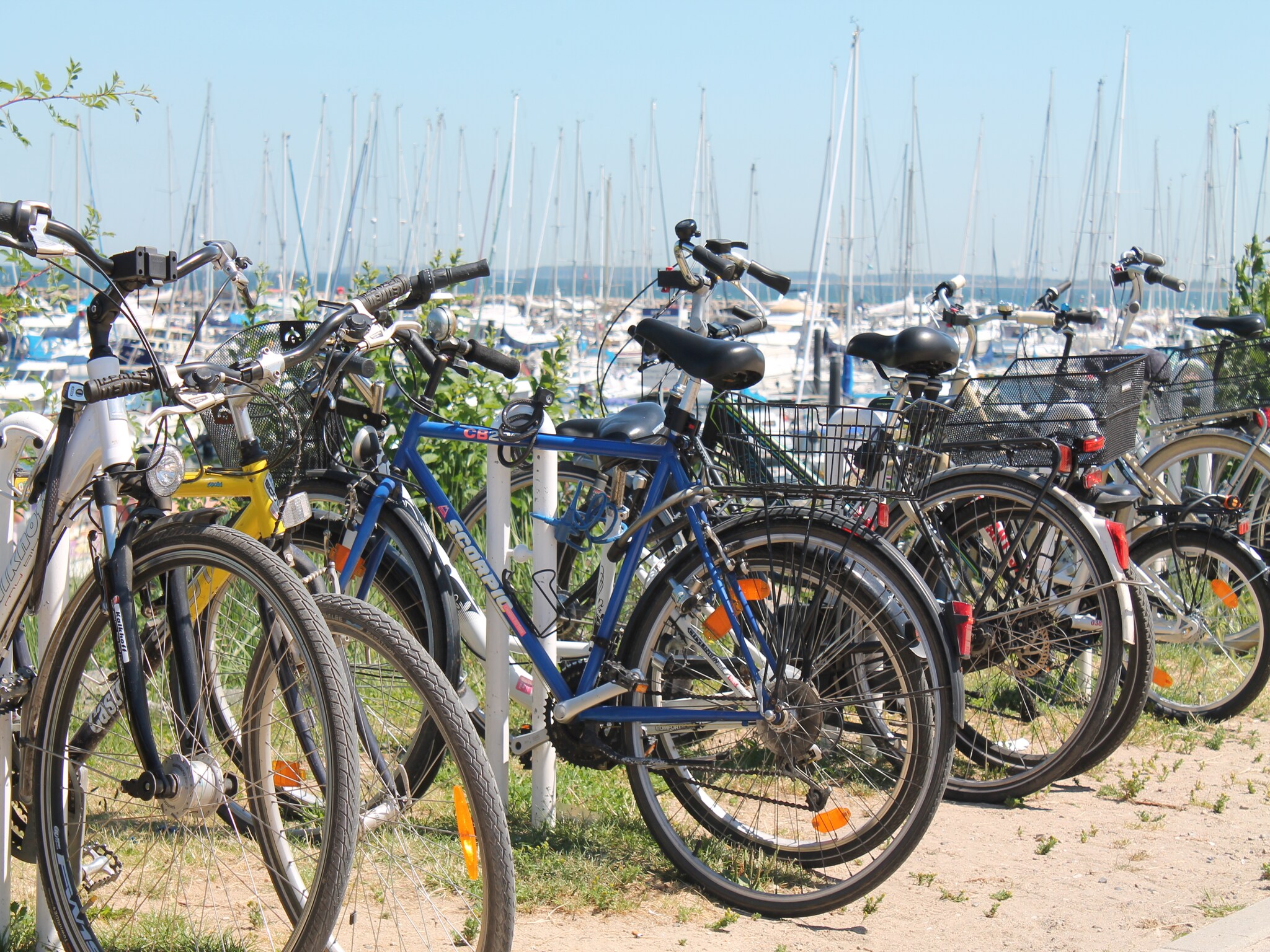 公寓 Romantische Ferienwohnung an der Ostsee mit Garten