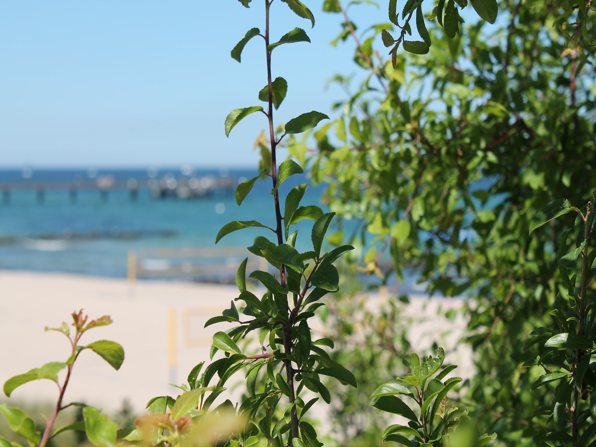 Apartment Landhauswohnung an der Ostsee mit Garten