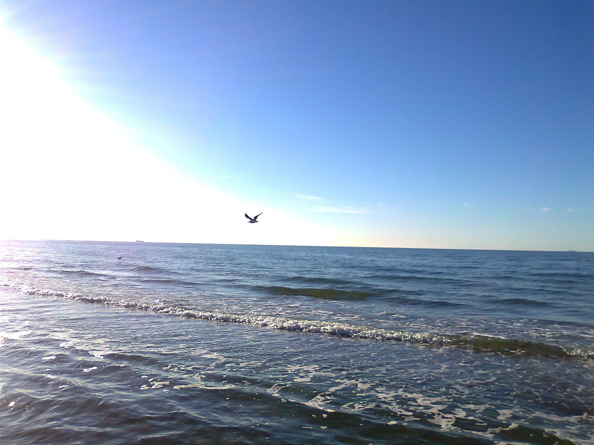   strandnahes Ferienhaus Klaus mit Weitblick