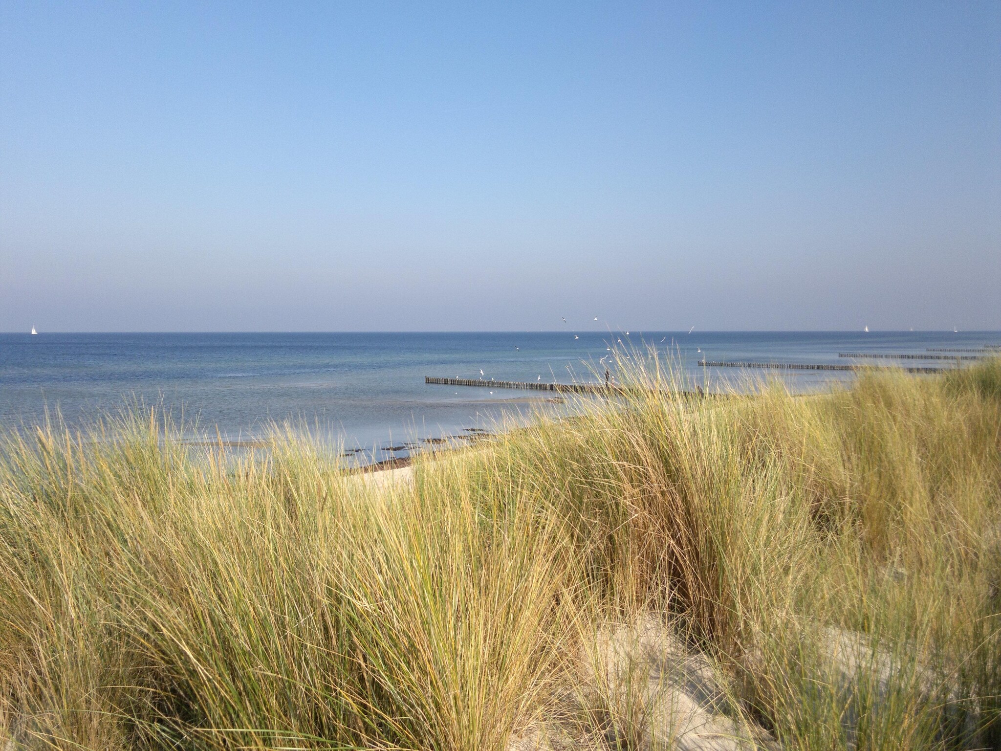   Strandnahes Ferienhaus Walter mit Meerblick