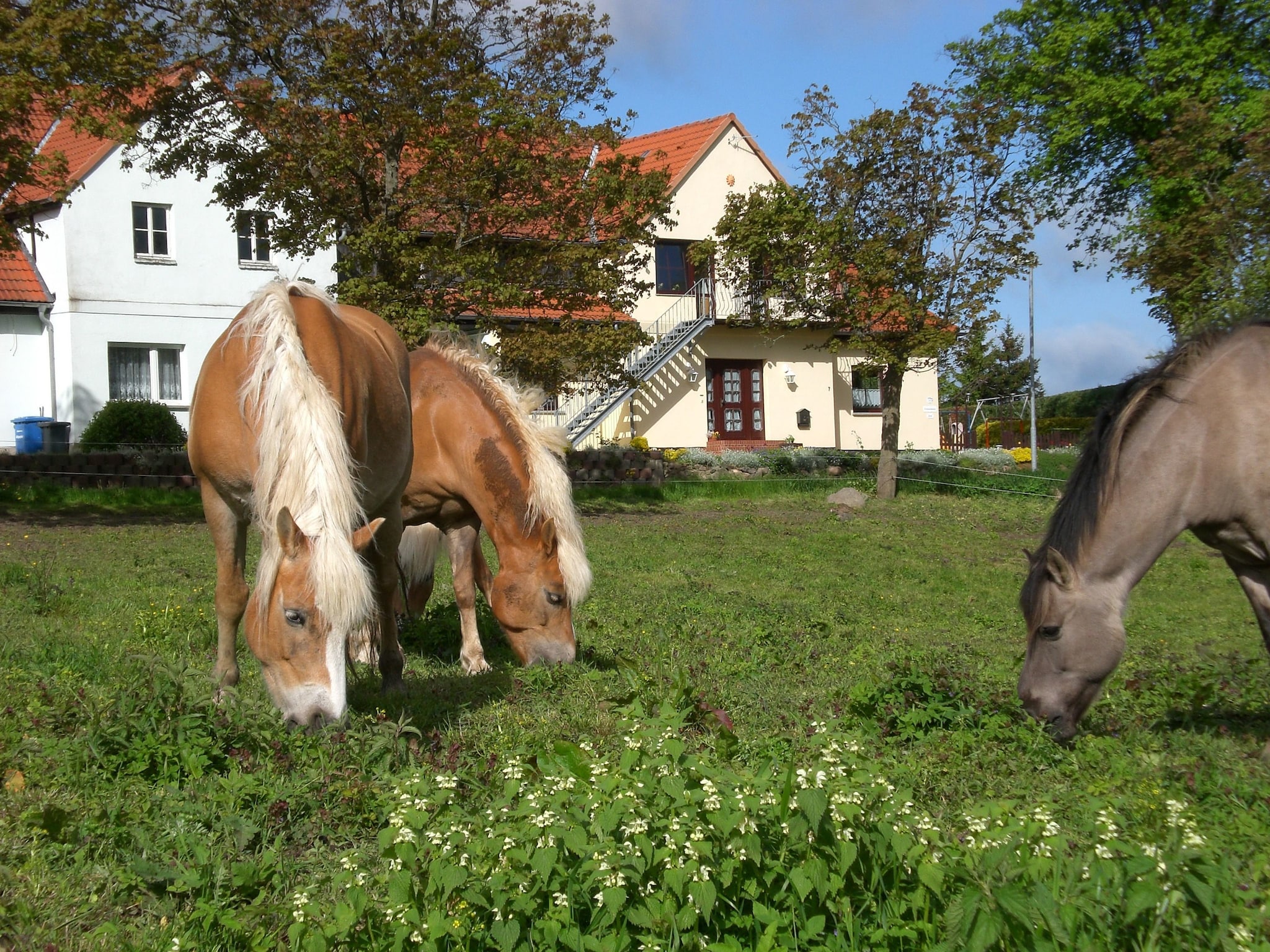 Apartment Ferienwohnung mit Gartenblick