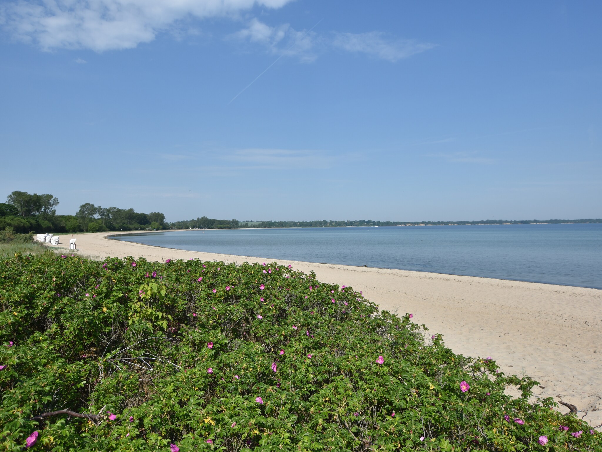   Platz im Grünen 3