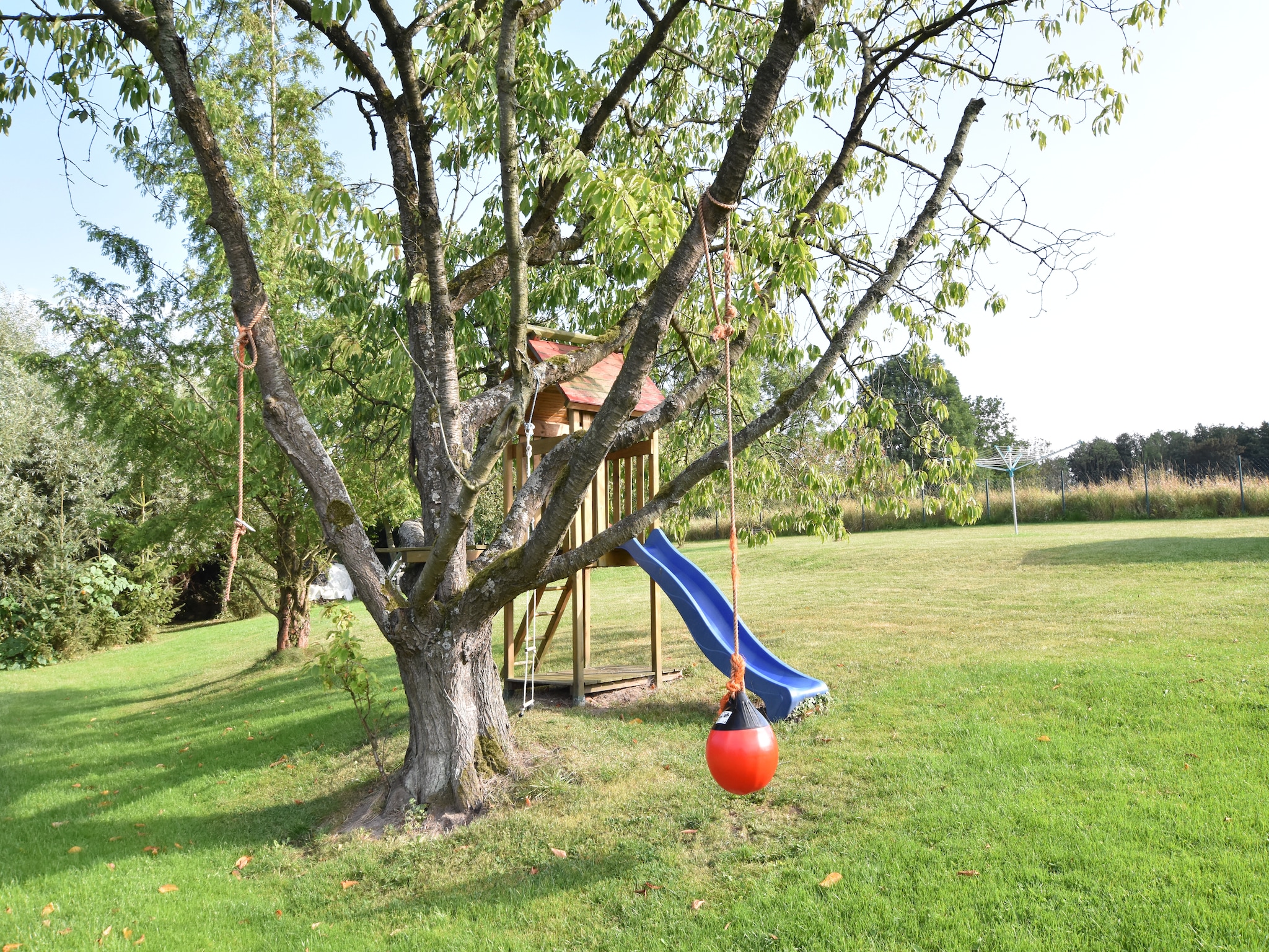  Platz im Grünen 3