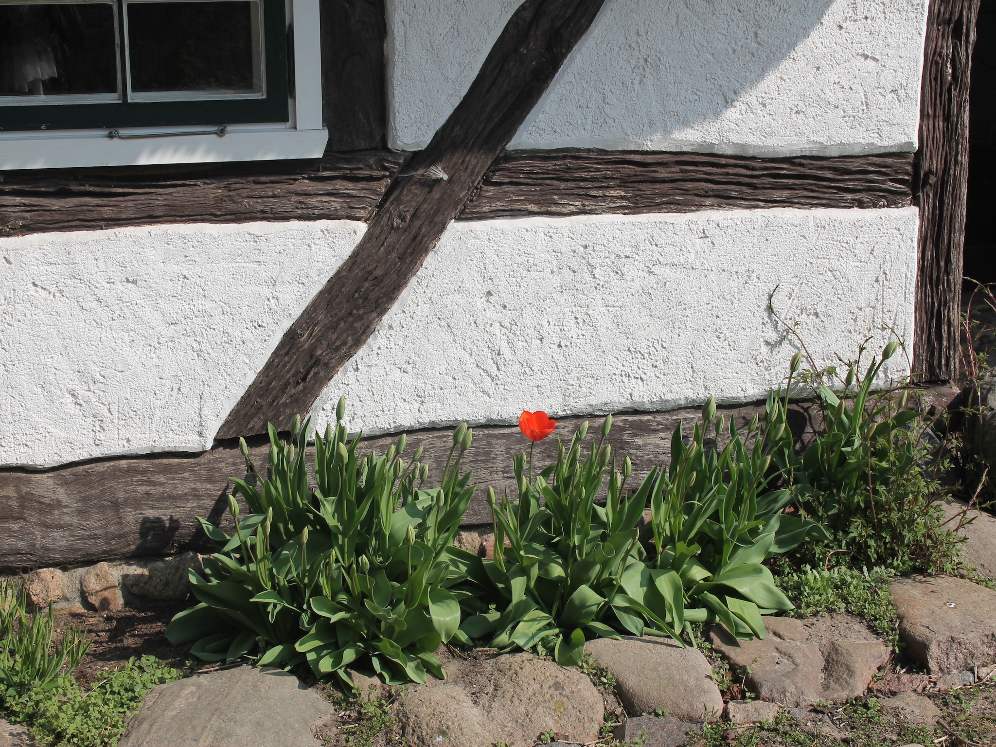 Ferienwohnung Reetdach 4 Linden