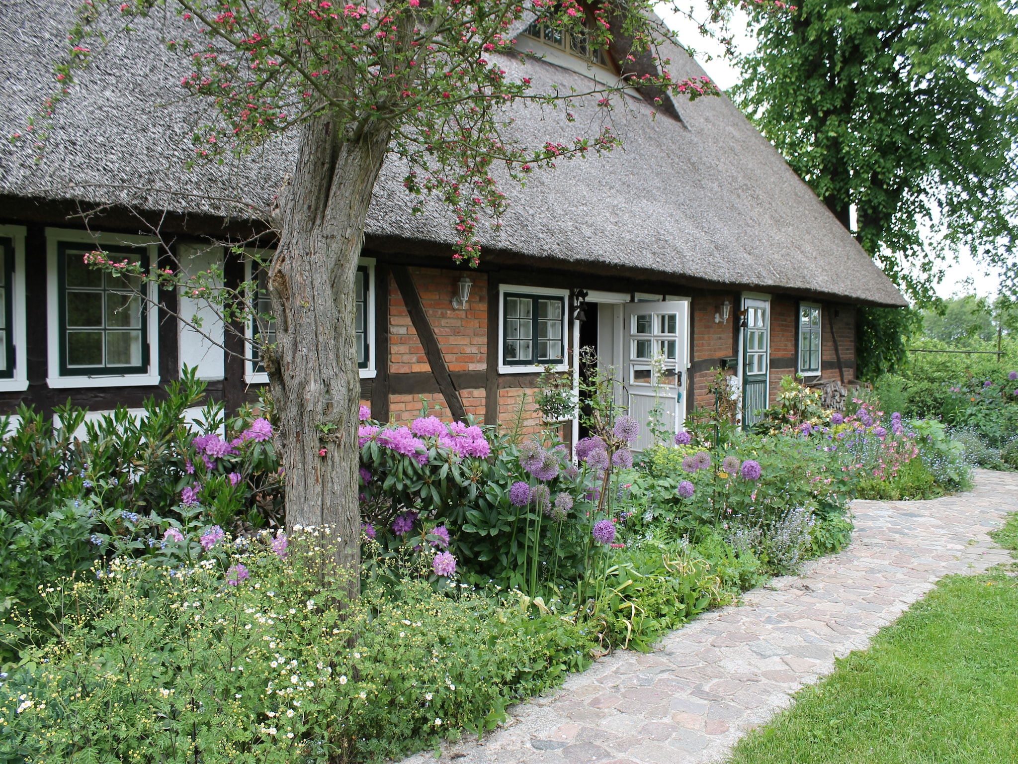 Ferienwohnung Reetdach 4 Linden
