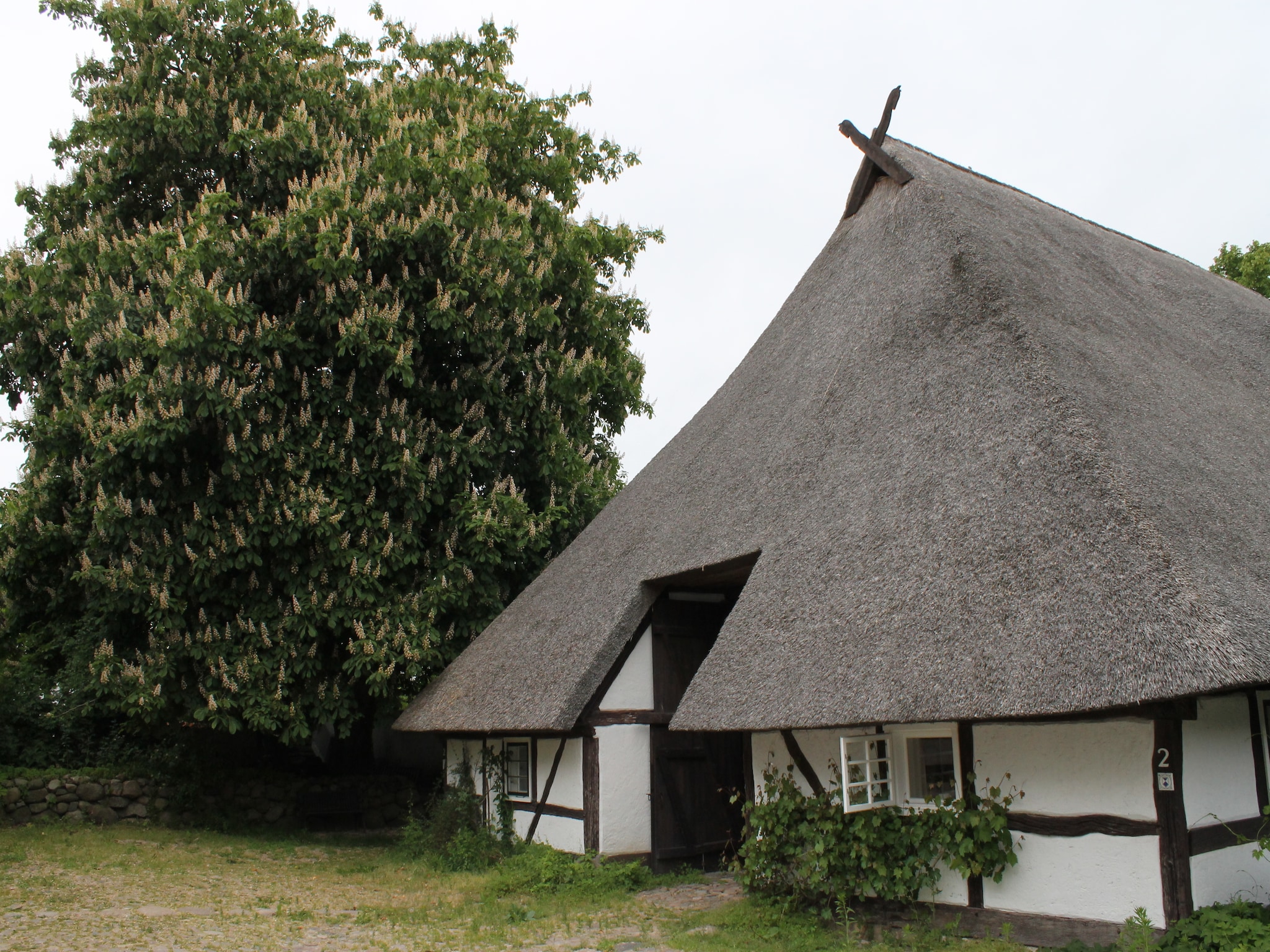 Ferienwohnung Reetdach 4 Linden