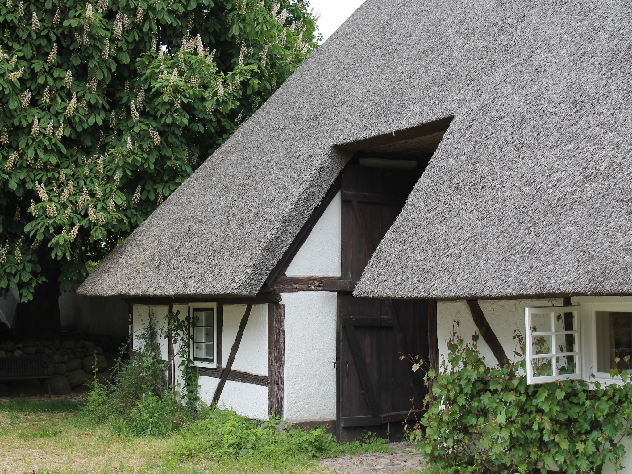Ferienwohnung Reetdach 4 Linden