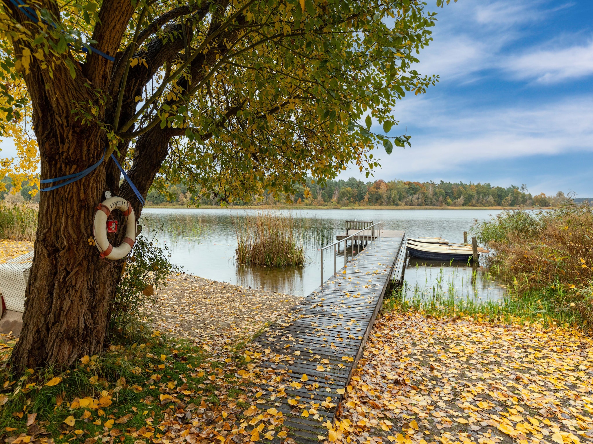 Ferienhaus Hundefreundliches Ferienhaus am See MIT Whirlpool