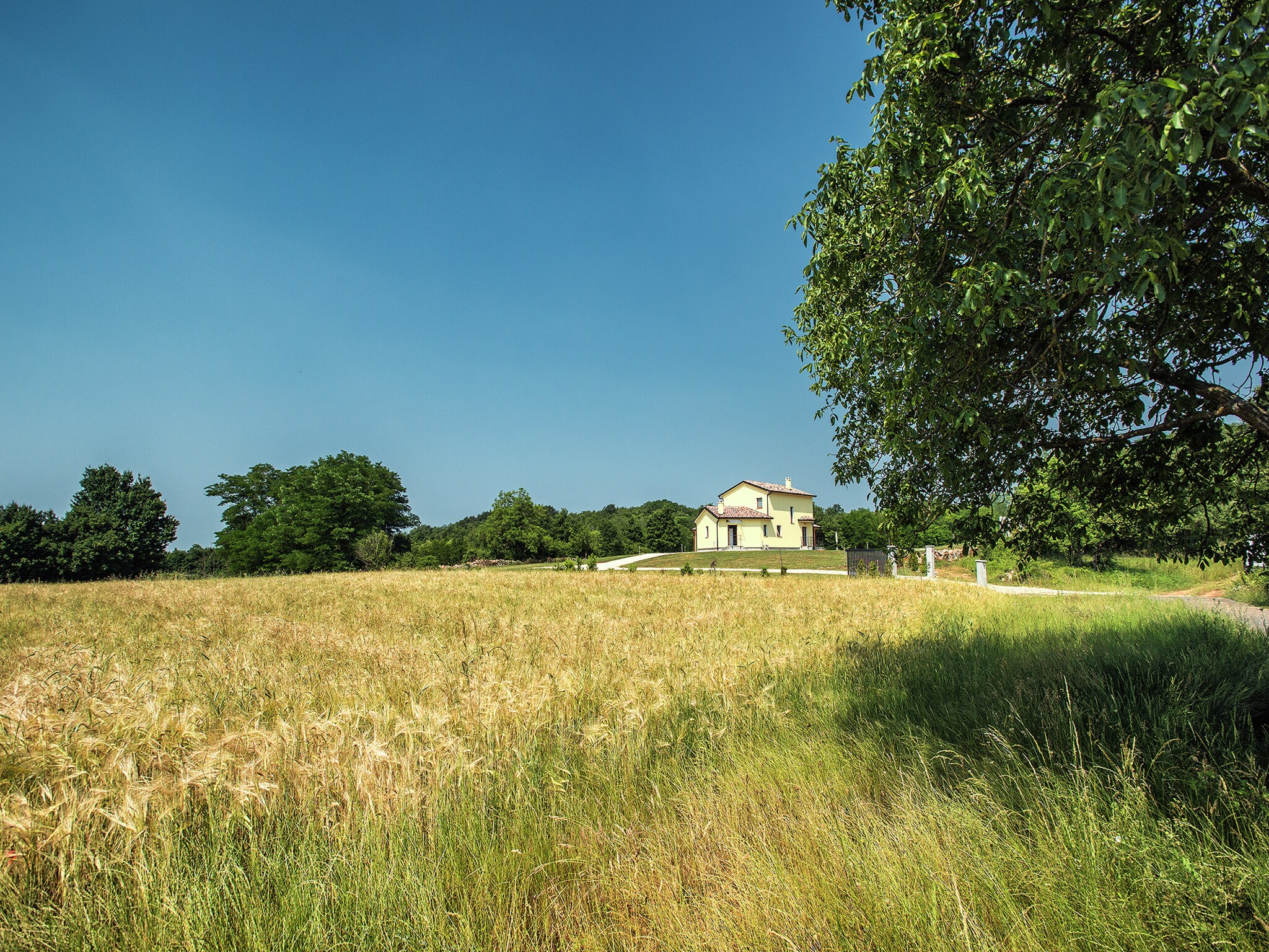 Vakantiehuis Villa Frankovici