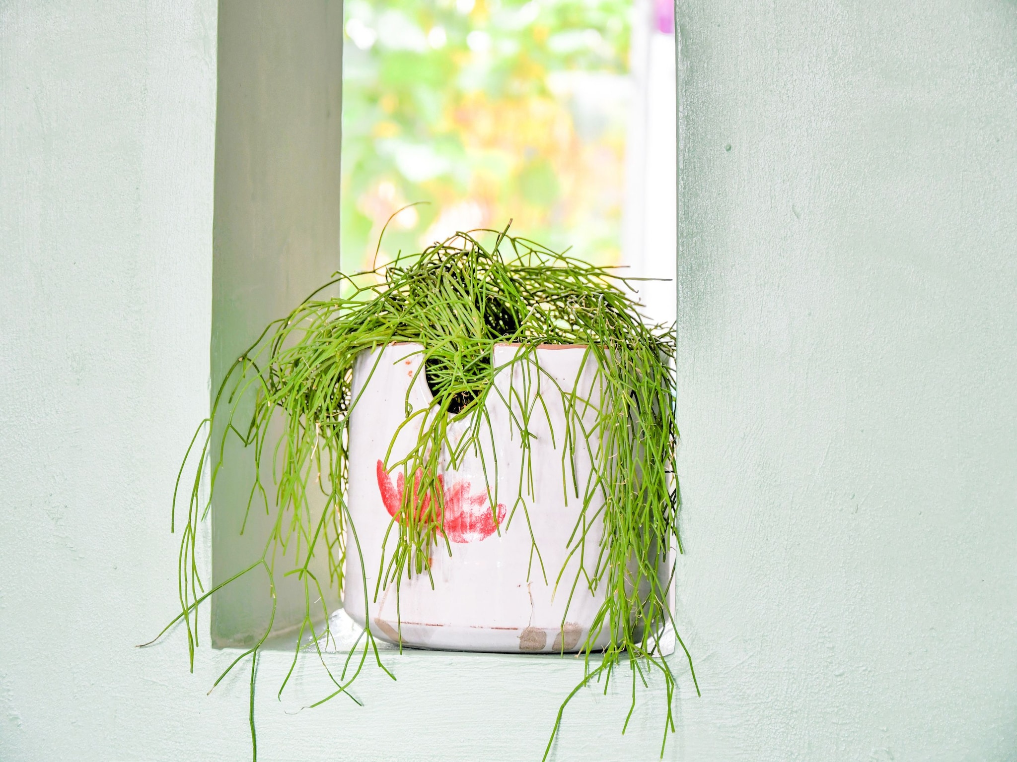 Apartmá Mohnblume