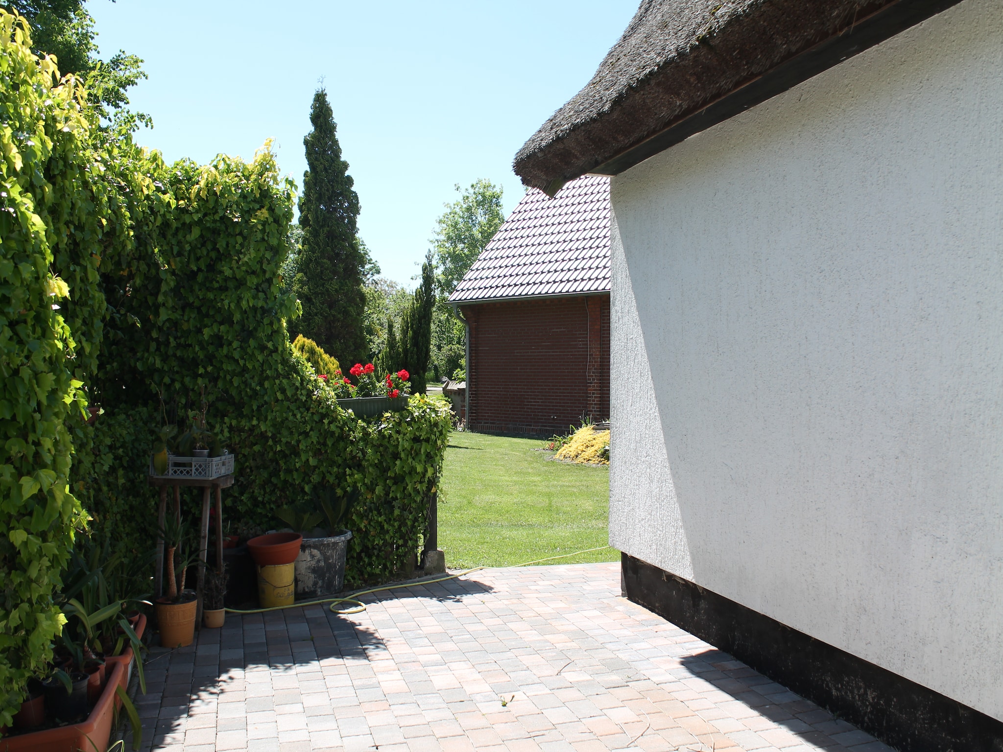 Appartement Schwalbenhof im Reetdachhaus