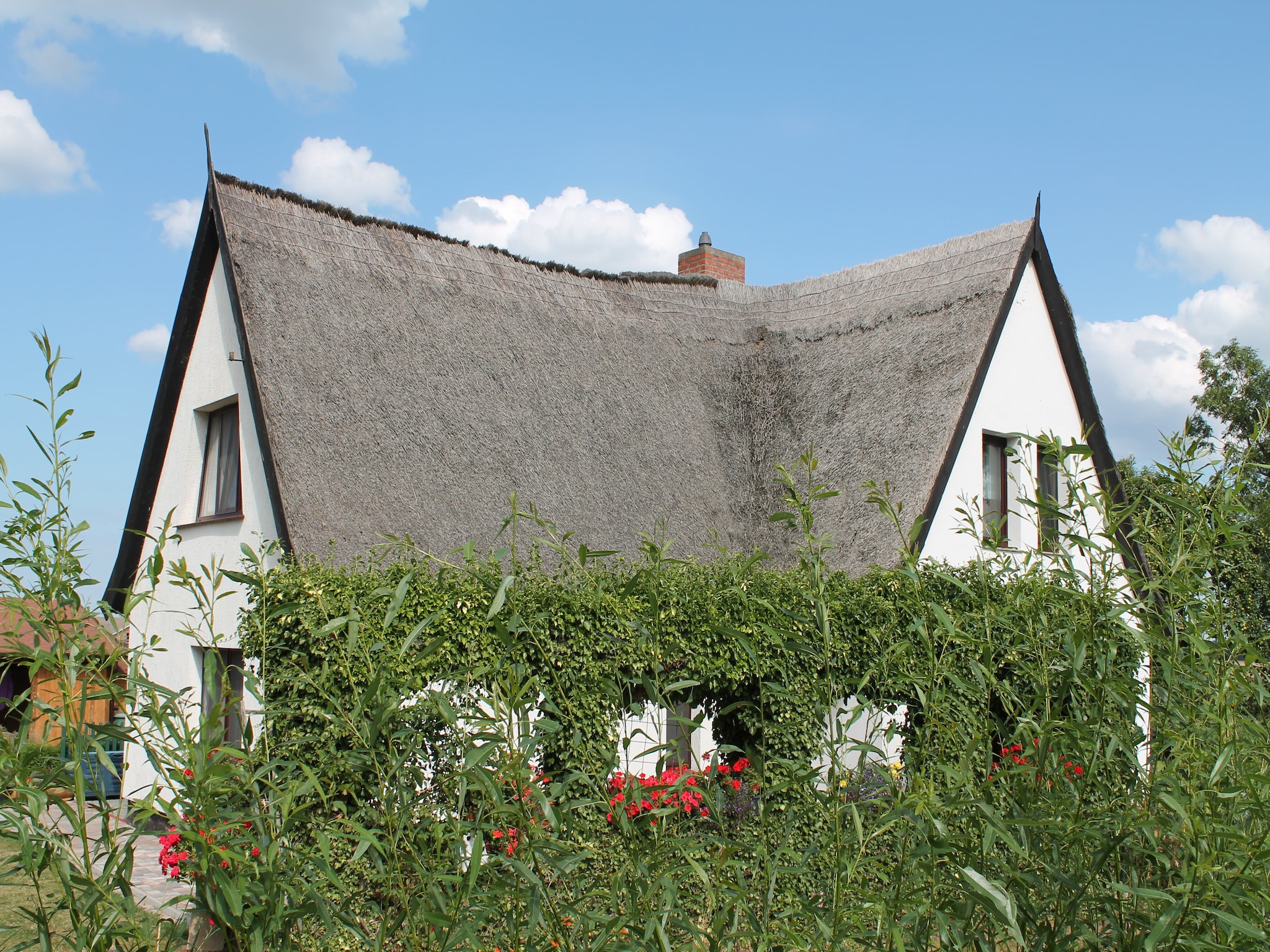 Appartement Schwalbenhof im Reetdachhaus