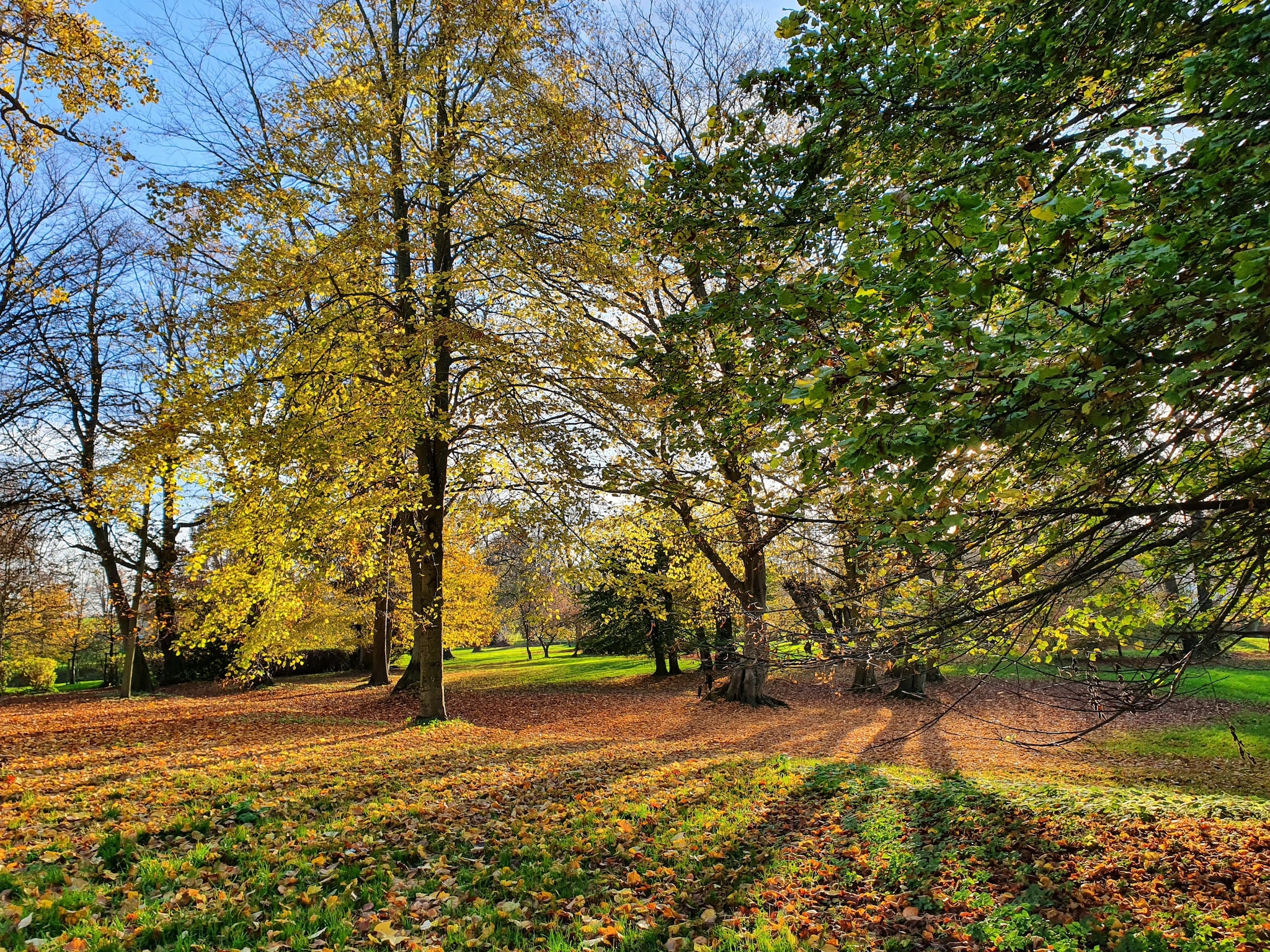 Appartement Gartenblick bei Gerdshagen