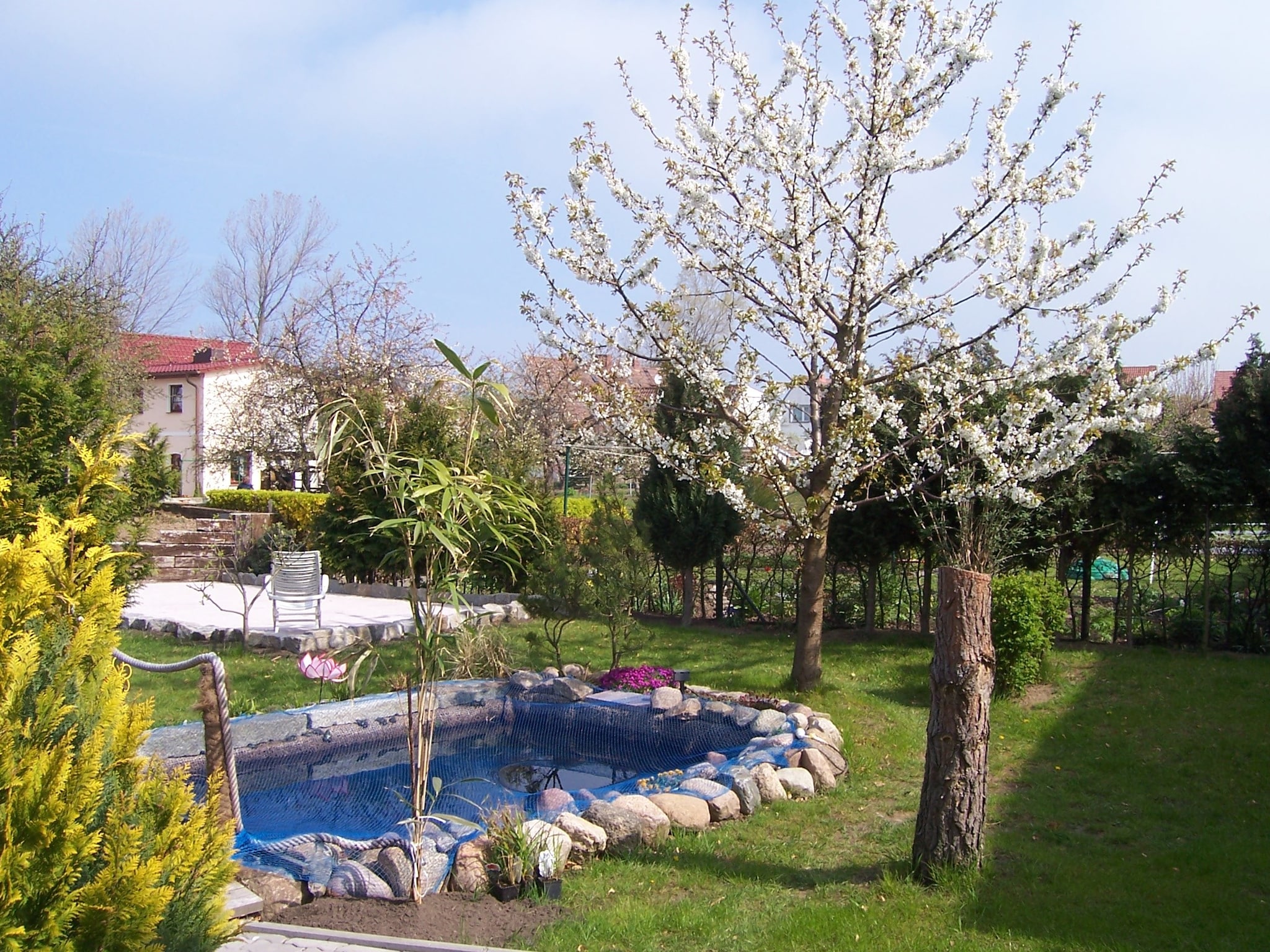 Ferienwohnung Sonnenhof / Nr 4