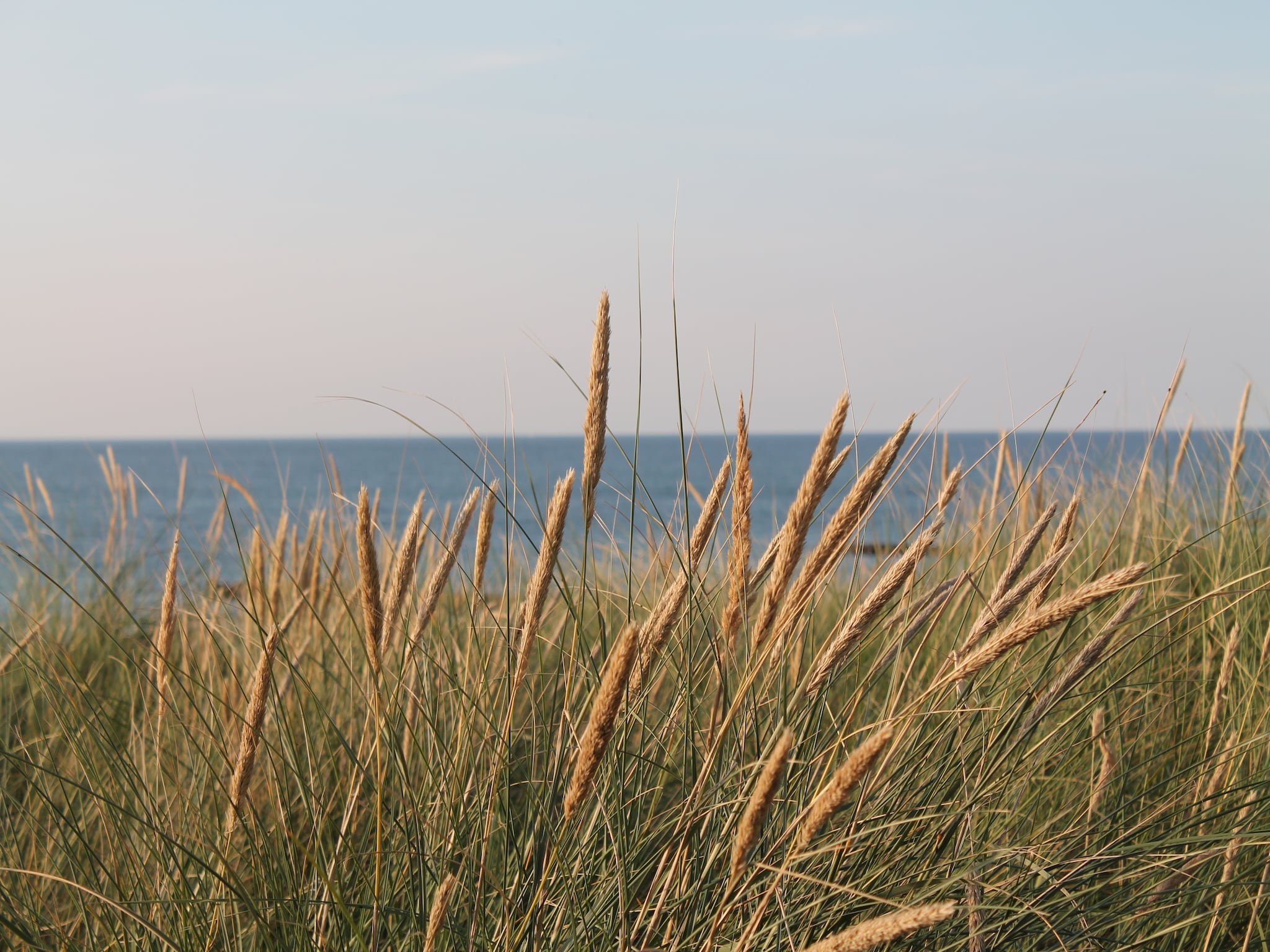 Ferienwohnung Arko 2 dicht am feinsandigen Strand