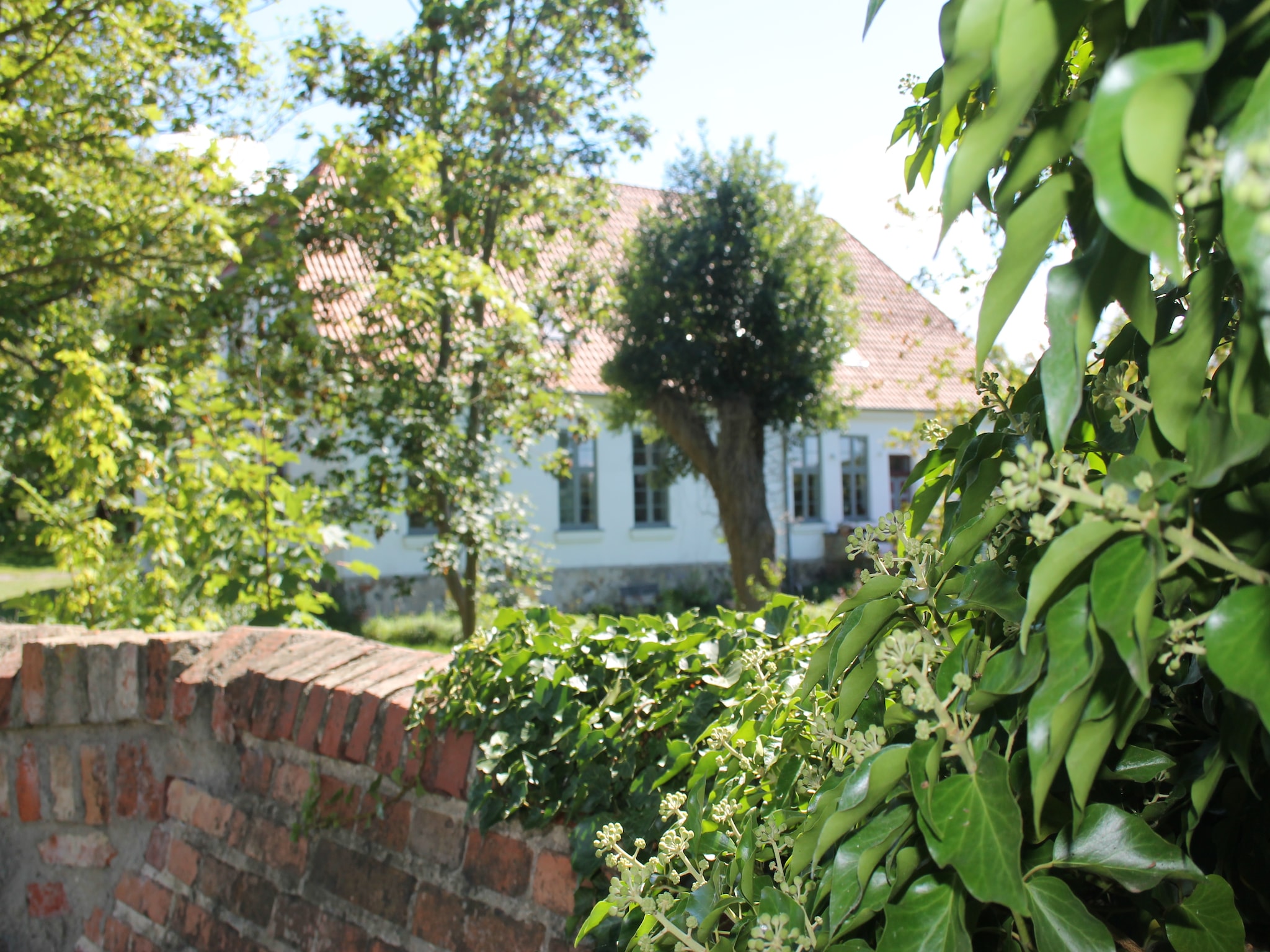   Sommerhaus Steffenshagen