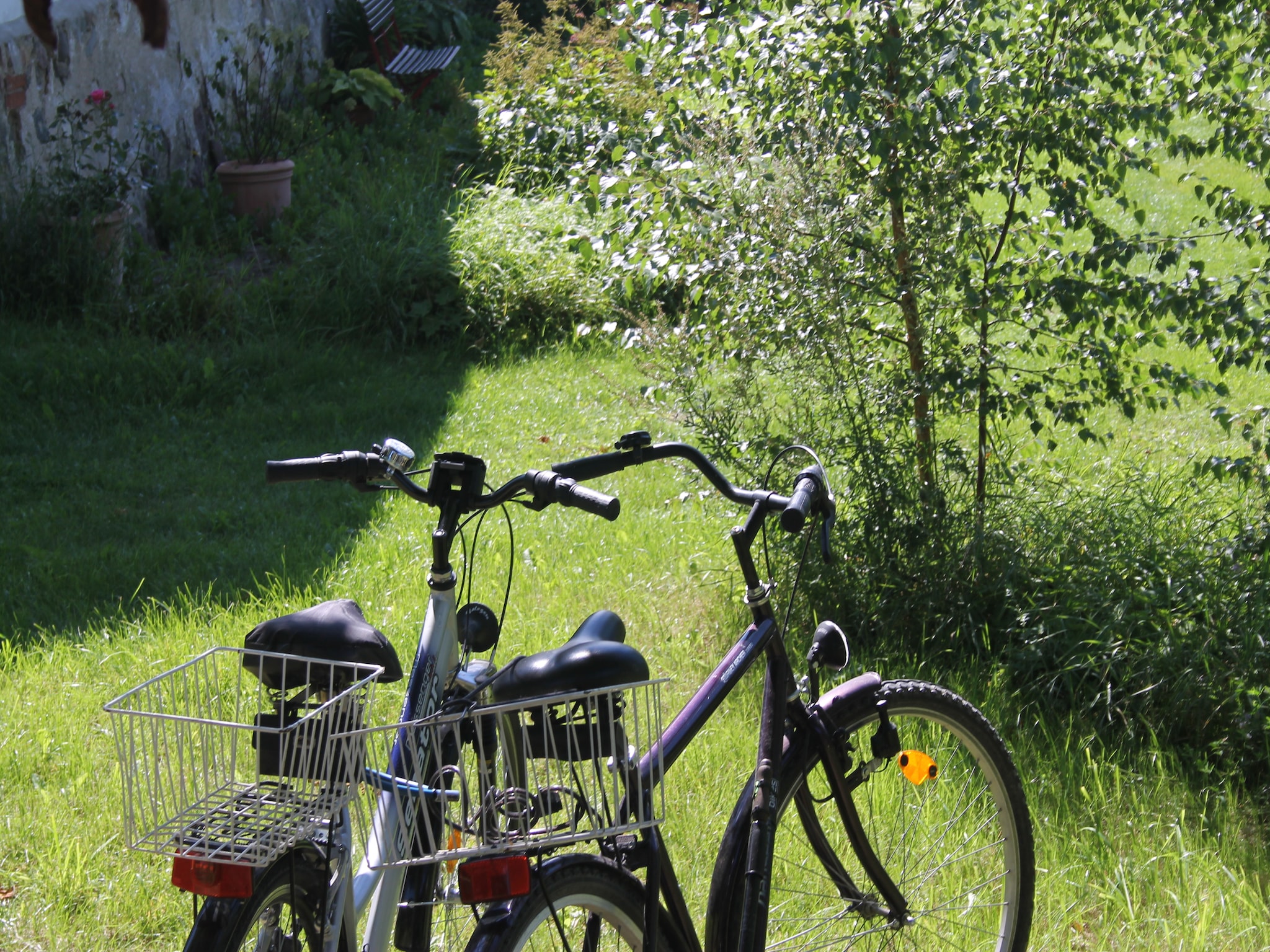   Sommerhaus Steffenshagen