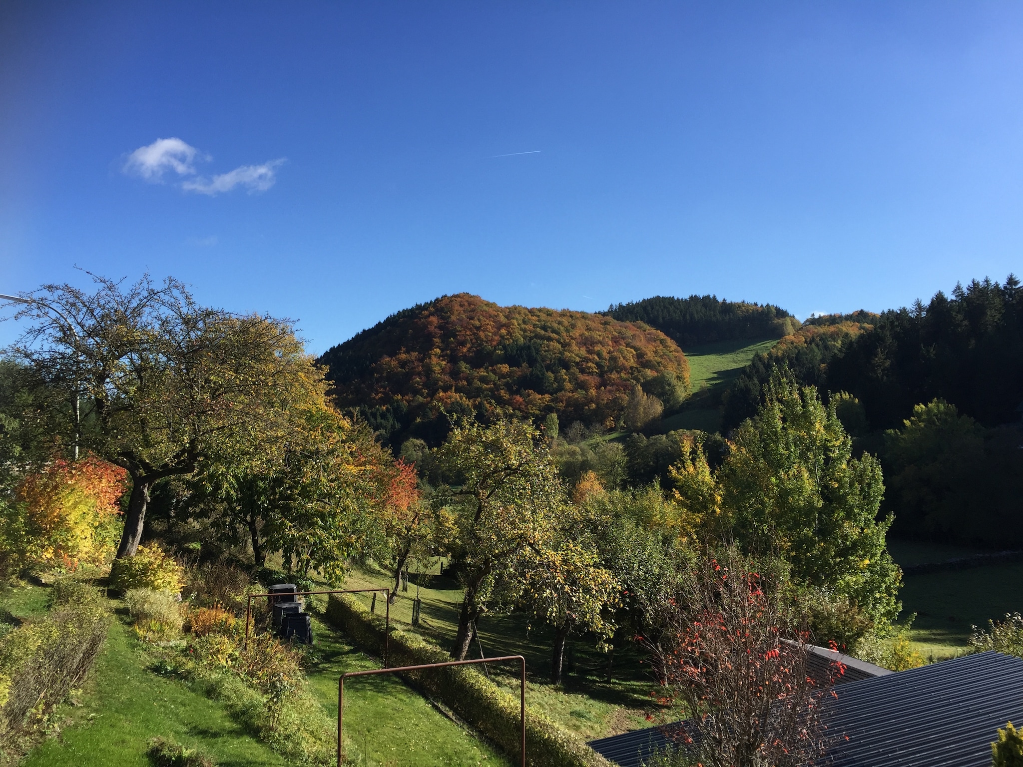   Deifeld