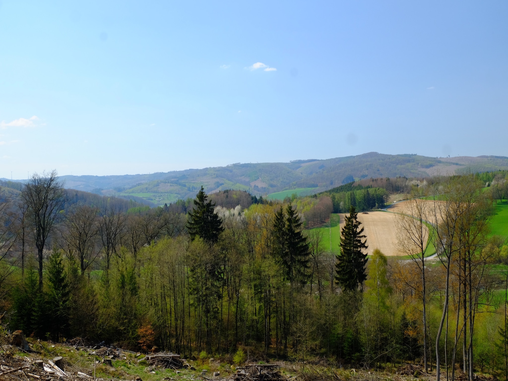   Am Sorpesee
