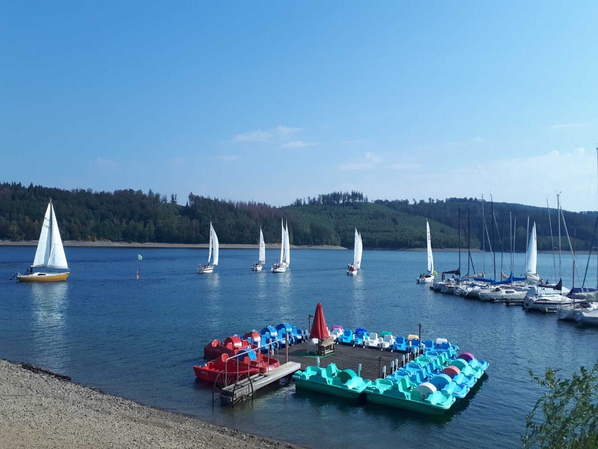   Am Sorpesee