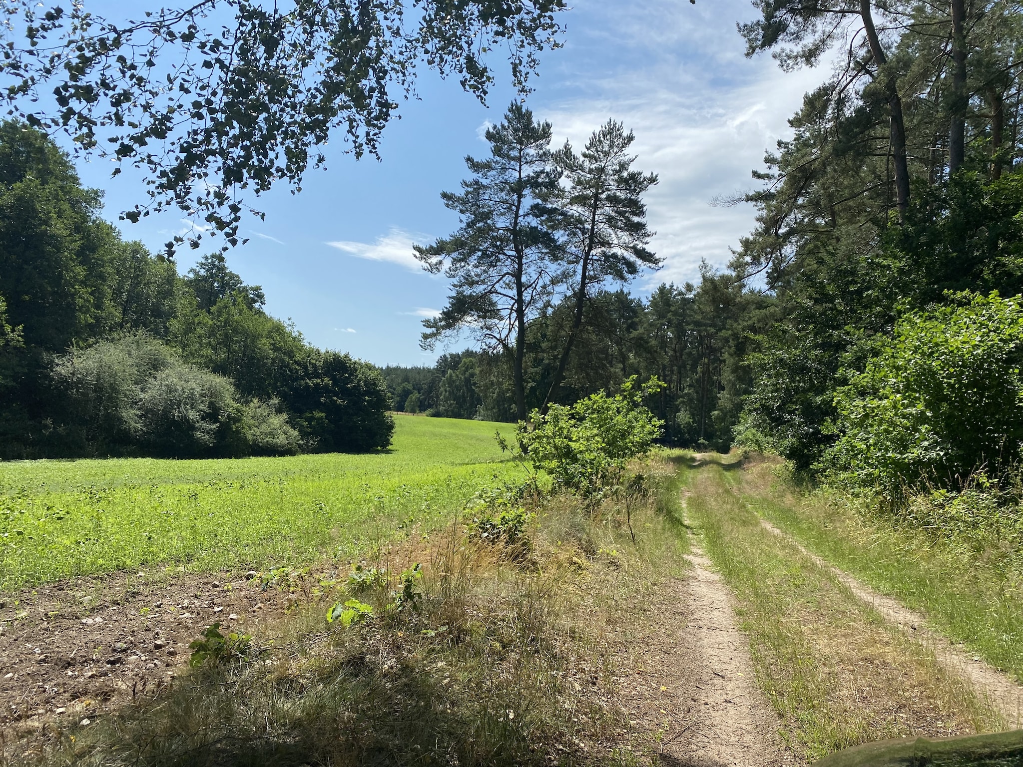   Ferienhaus Im Gutshofpark mit Sauna