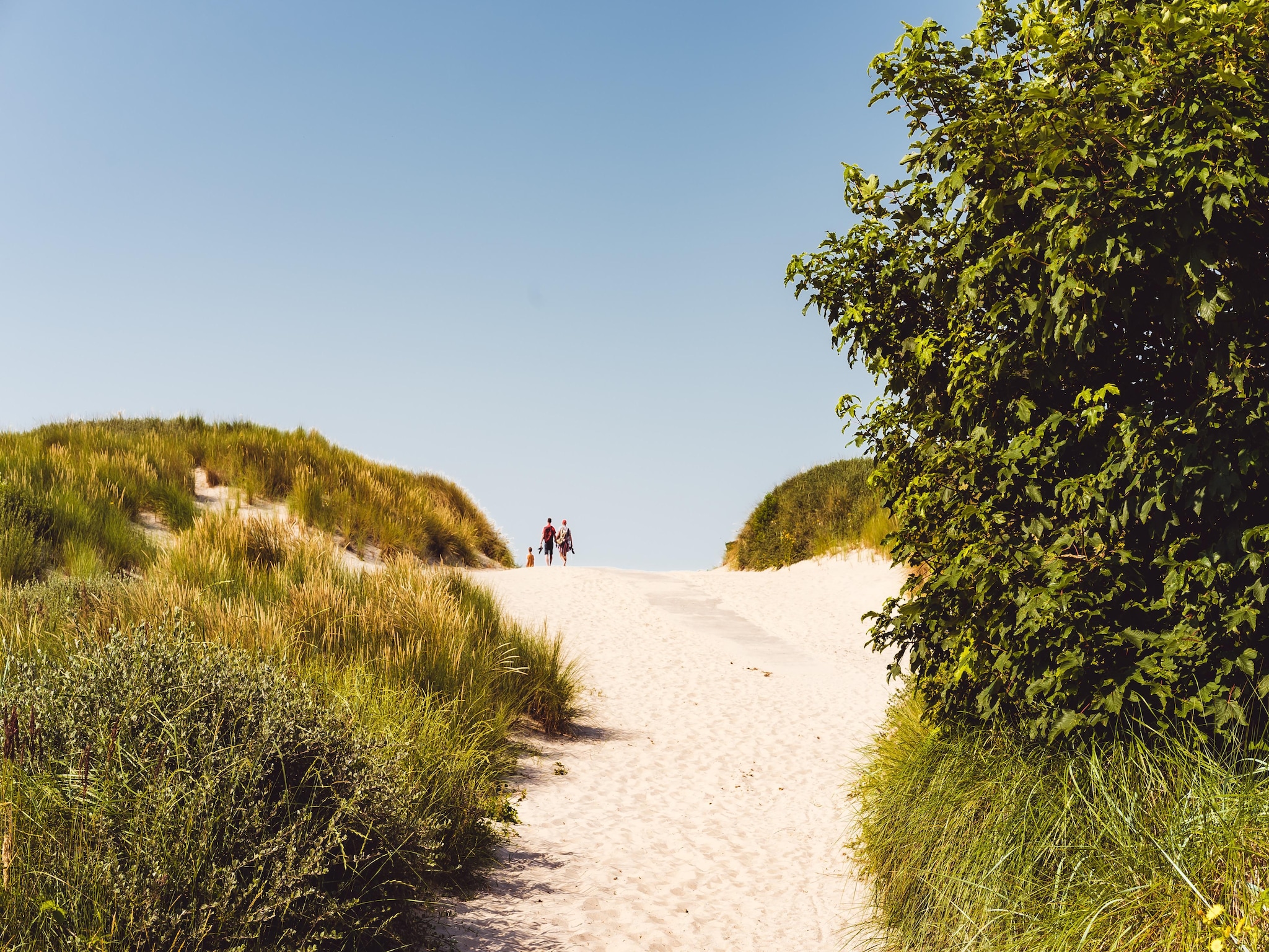   Sea Lodges Ameland 2