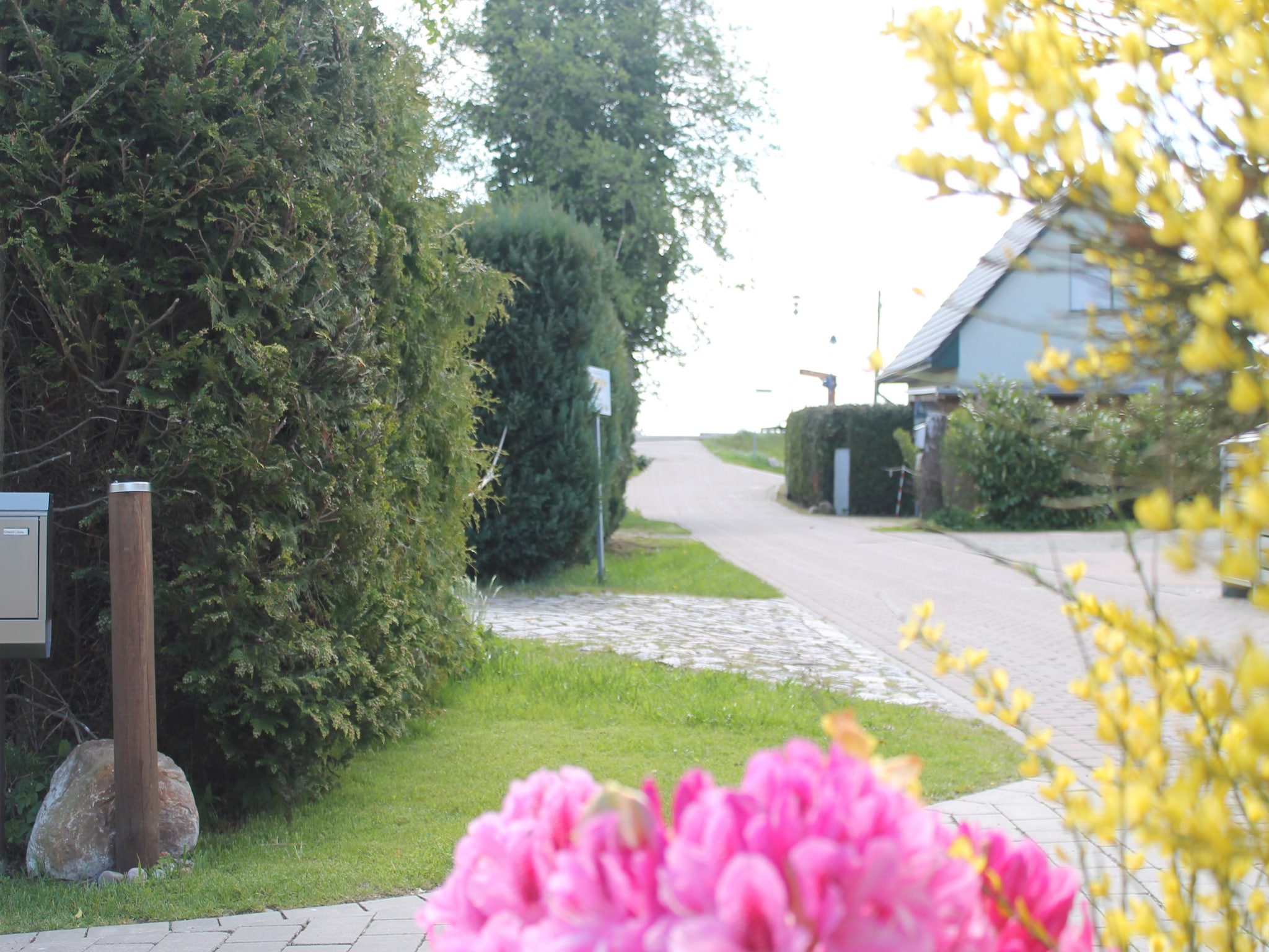   Das DarßHaus mit Kamin und Garten
