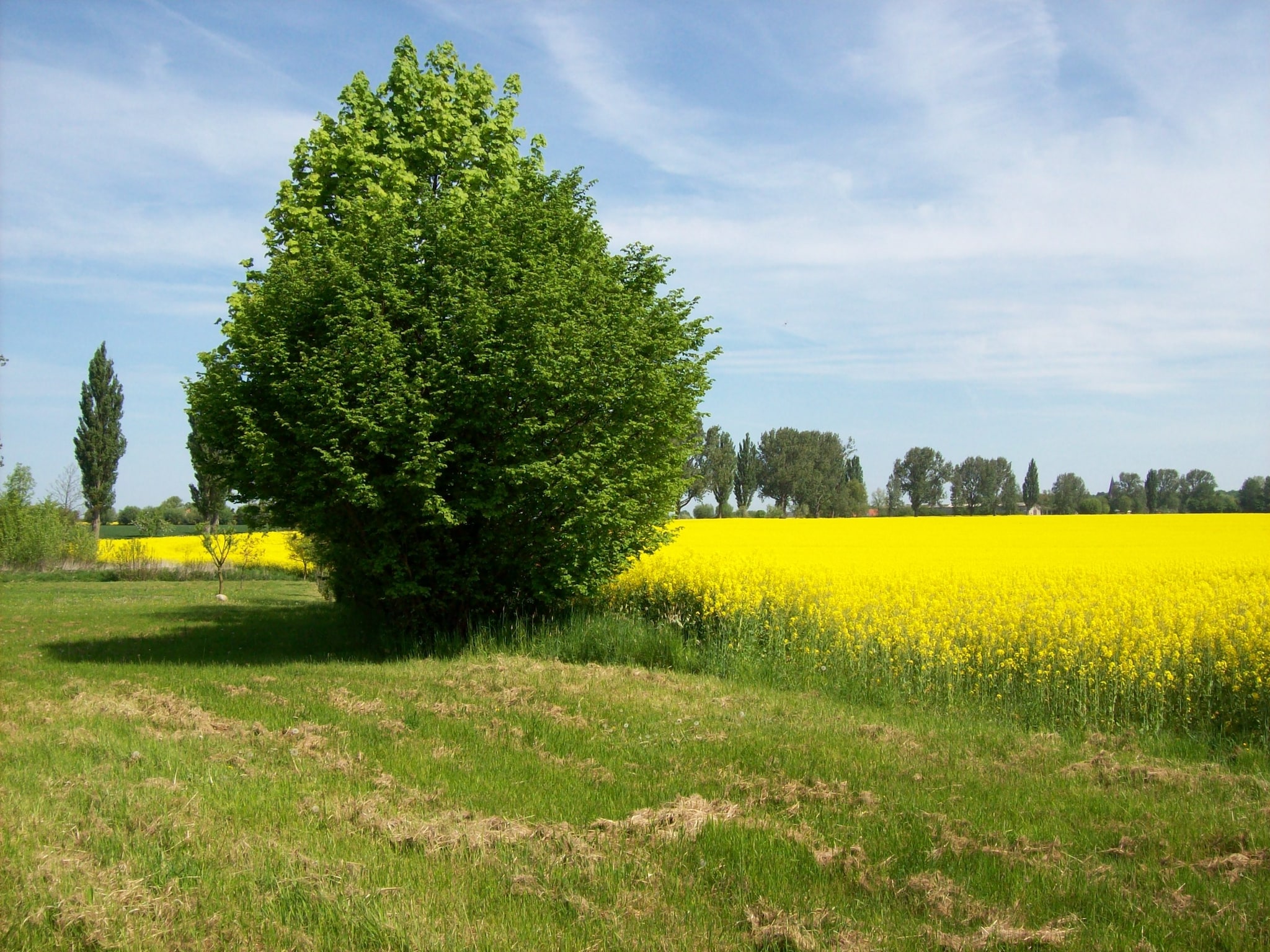 Ferienwohnung Landlust pur 1