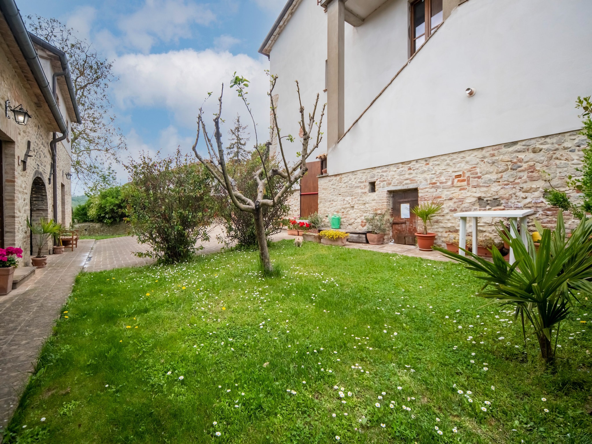Ferienhaus Essiccatoio Rosa