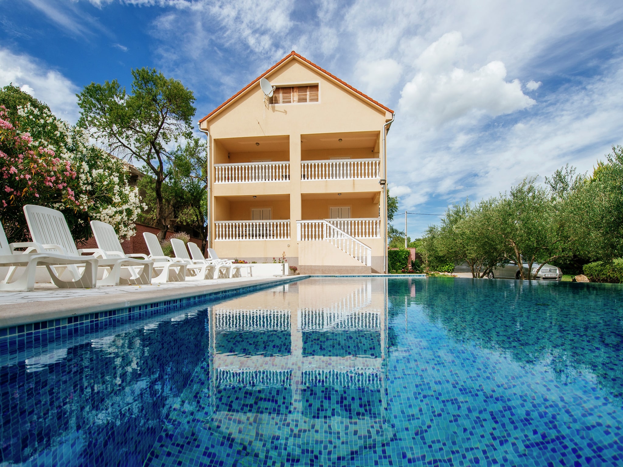   Holiday dream Uzelac