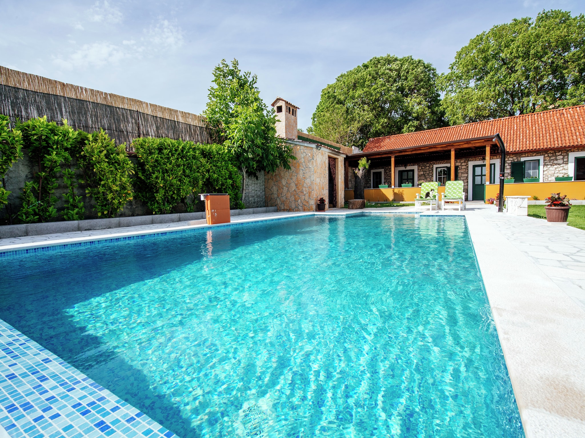   Holiday dream Uzelac