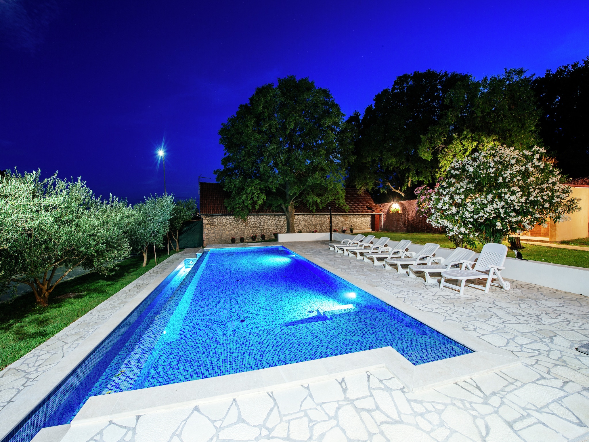   Holiday dream Uzelac