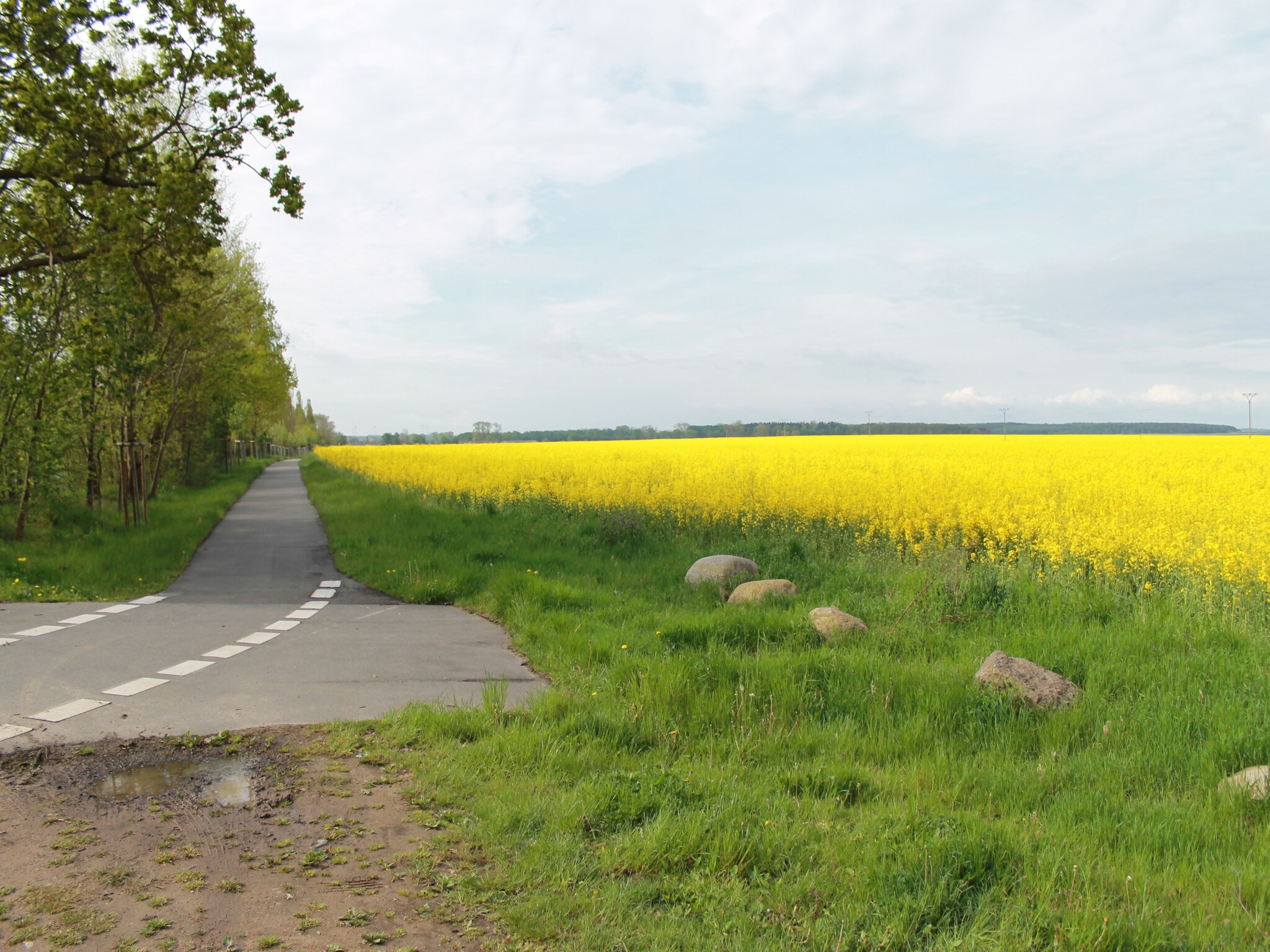 Ferienwohnung An der Allee