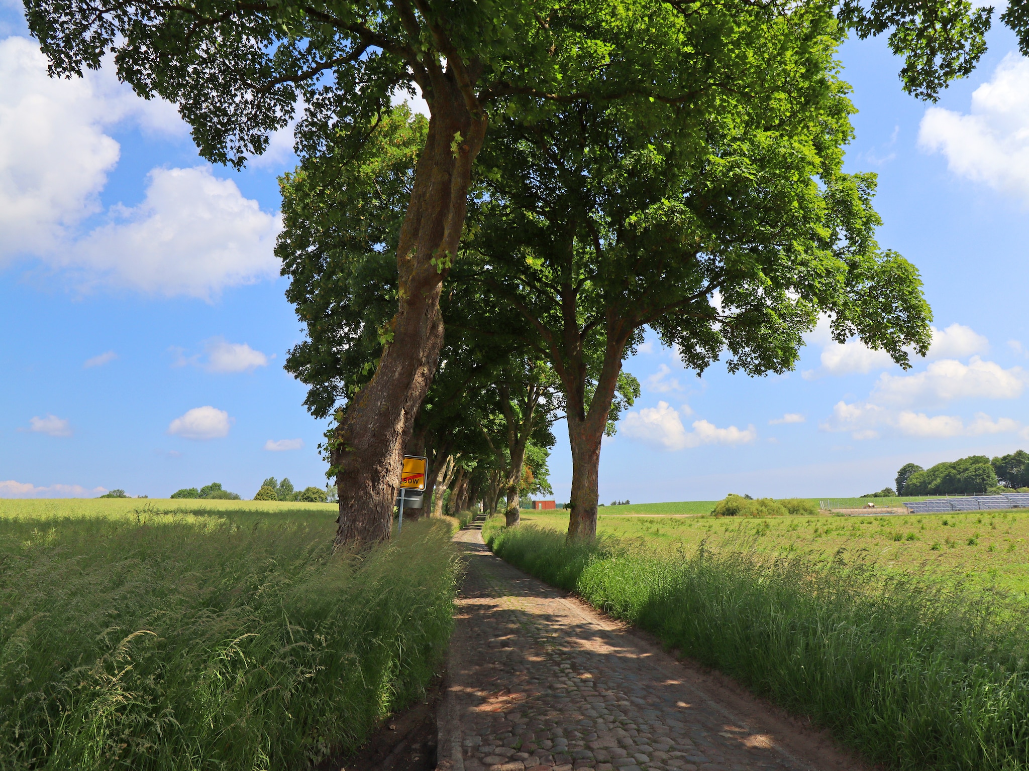 Ferienwohnung An der Allee