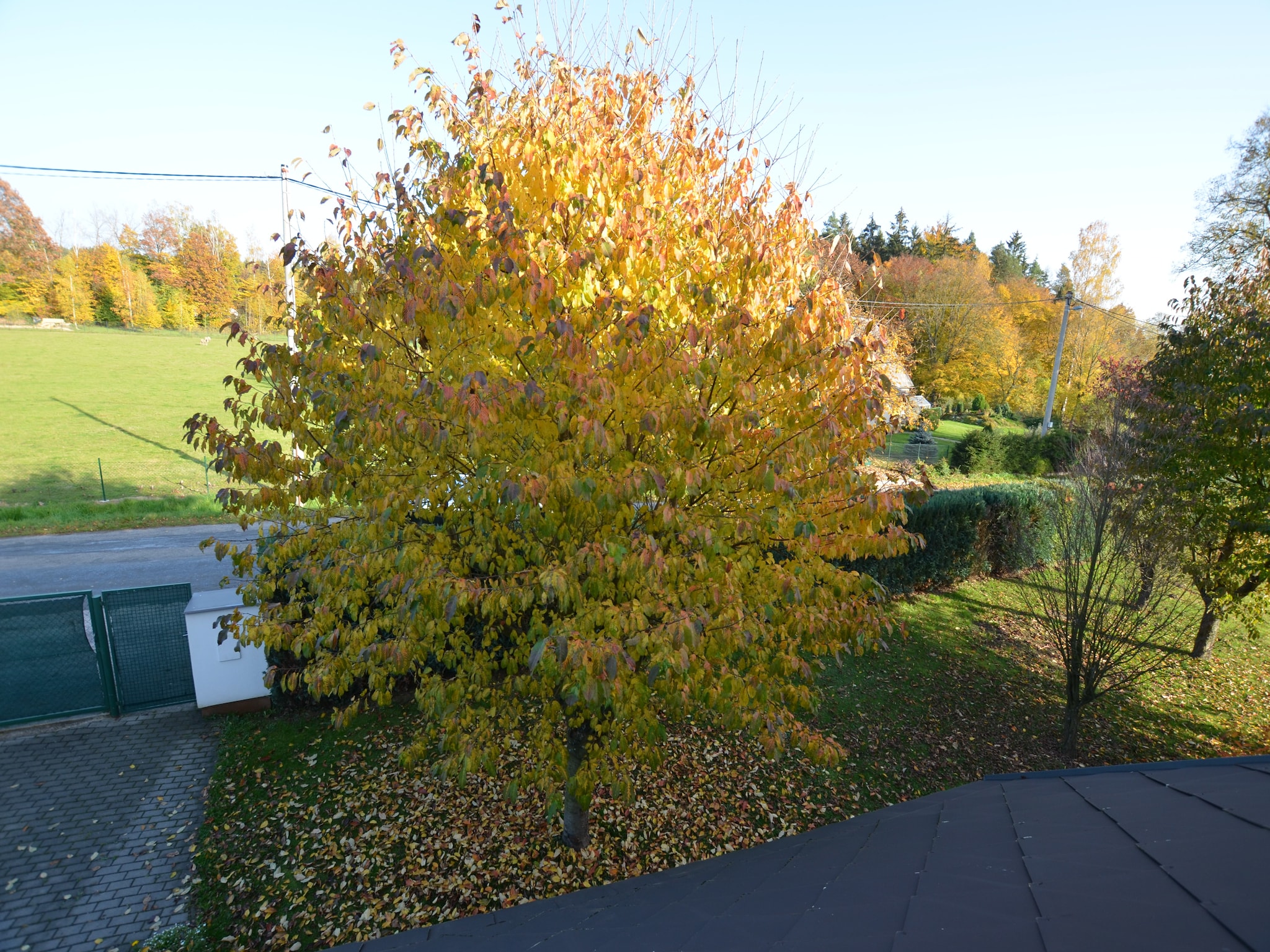Ferienhaus Vila Nemojov 17 p
