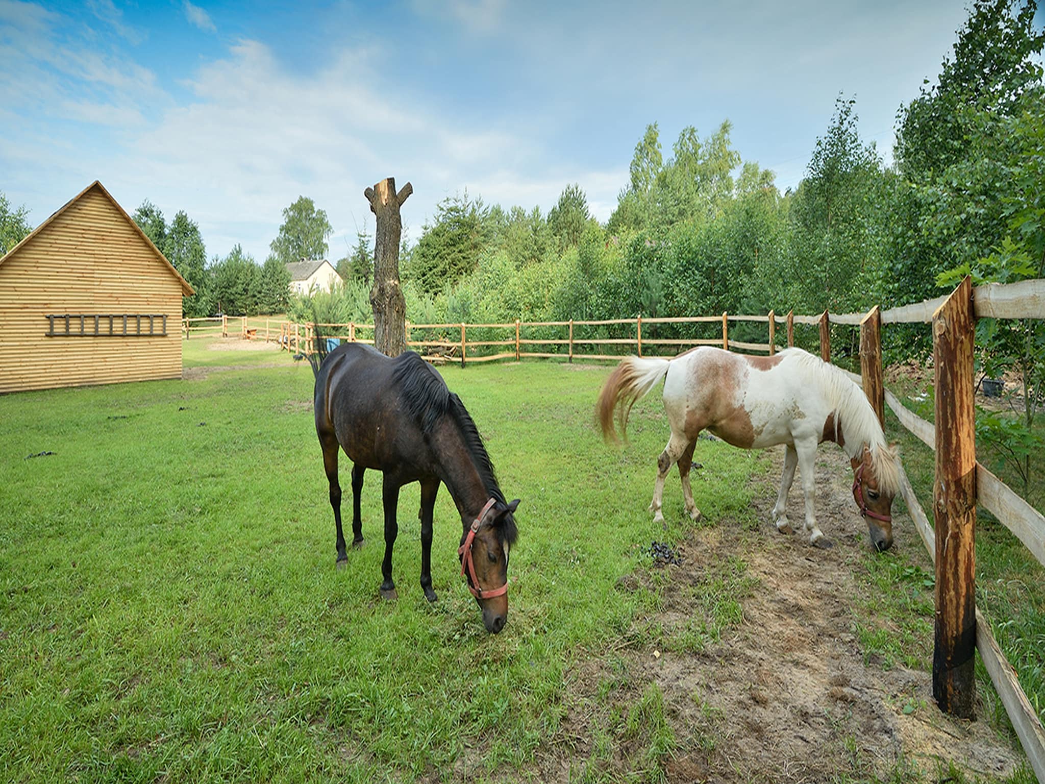  Holiday Home Skrzynia 2