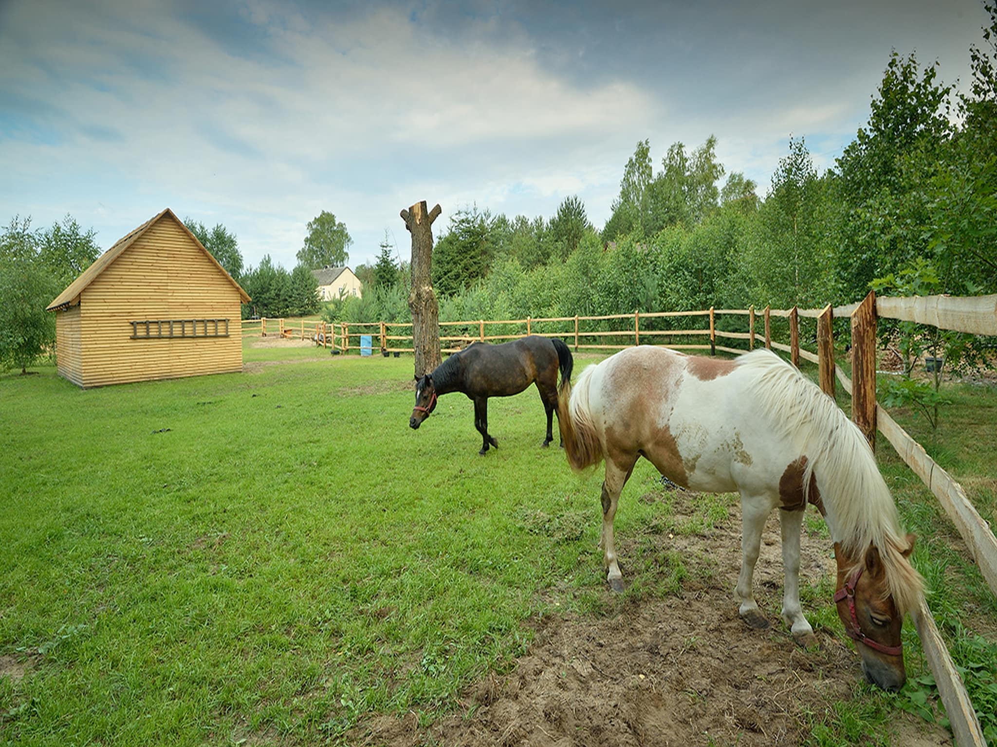   Holiday Home Skrzynia 2