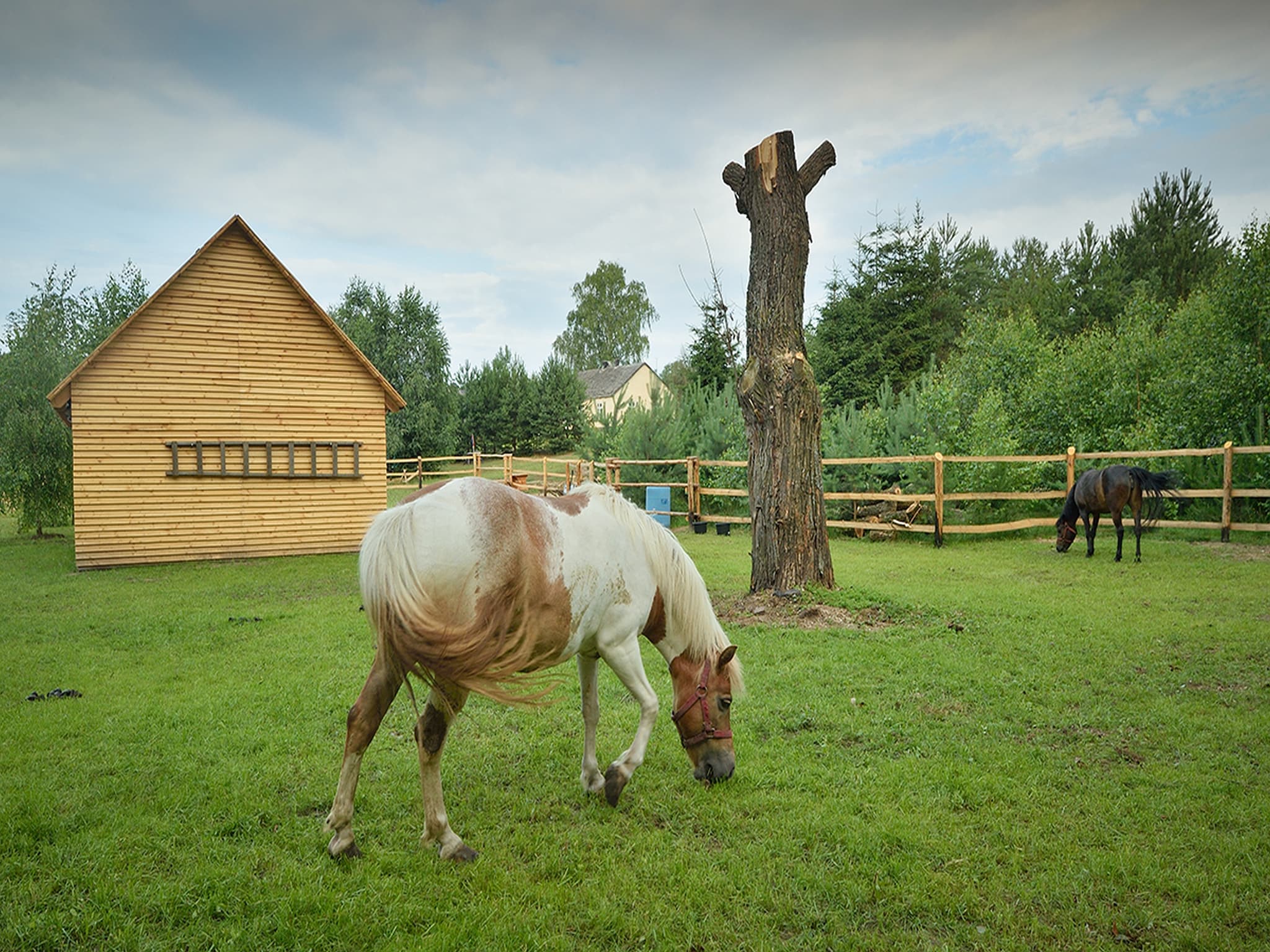   Holiday Home Skrzynia 2