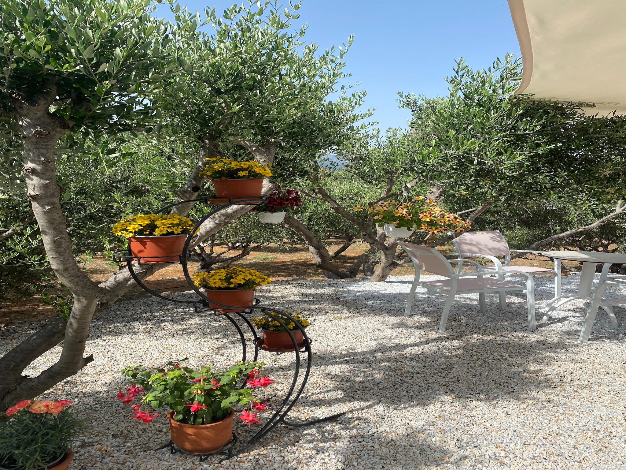Casa di vacanze Villa Angela