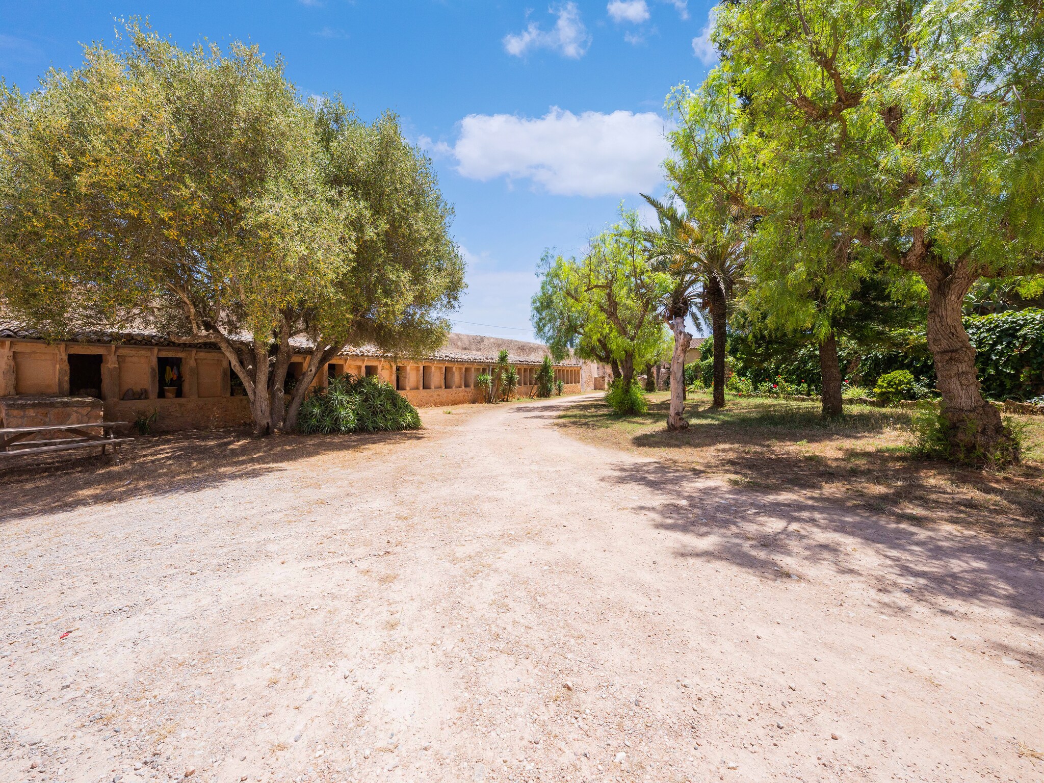 Dom Casa del Señor