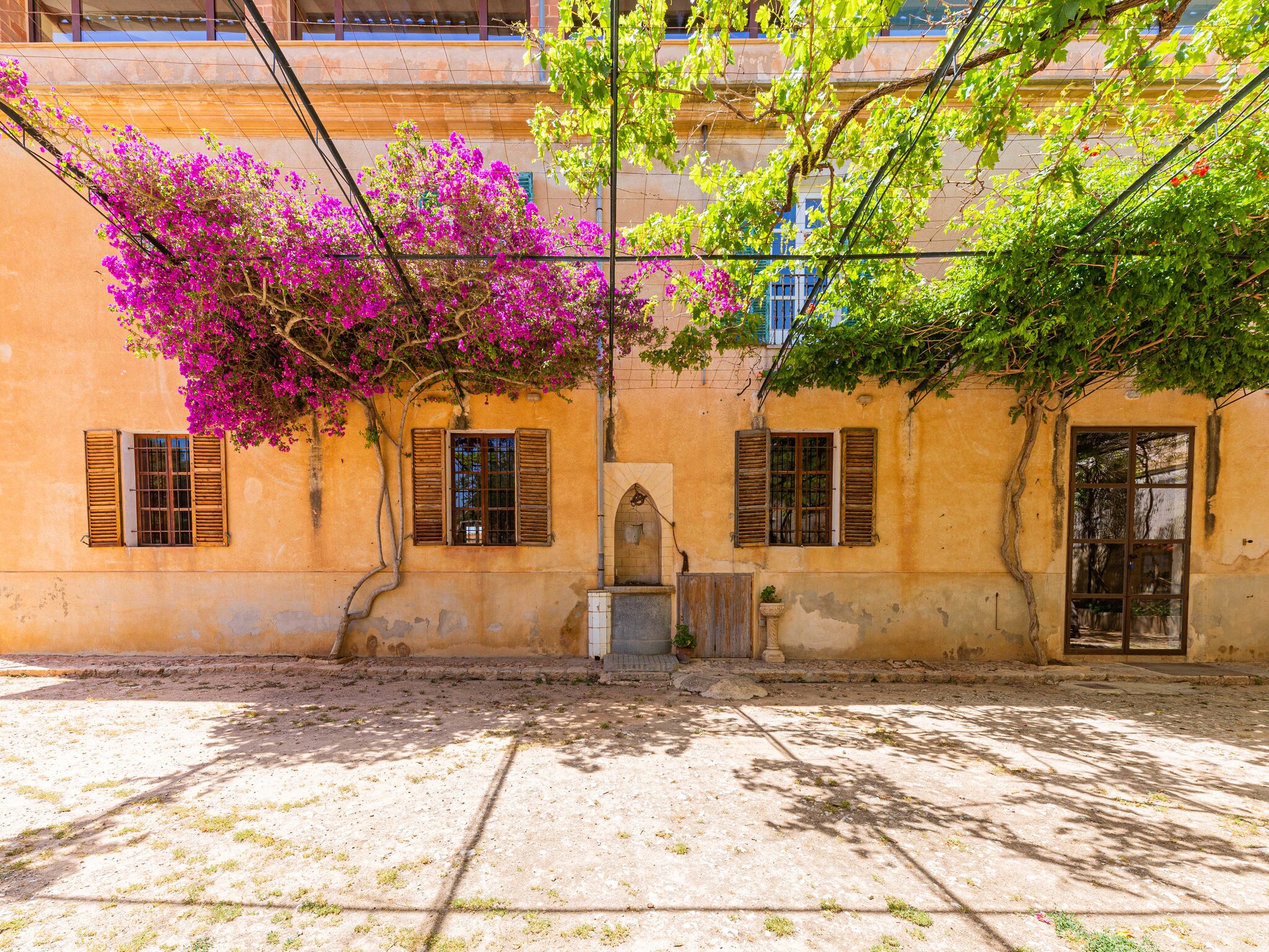 Dom Casa del Señor
