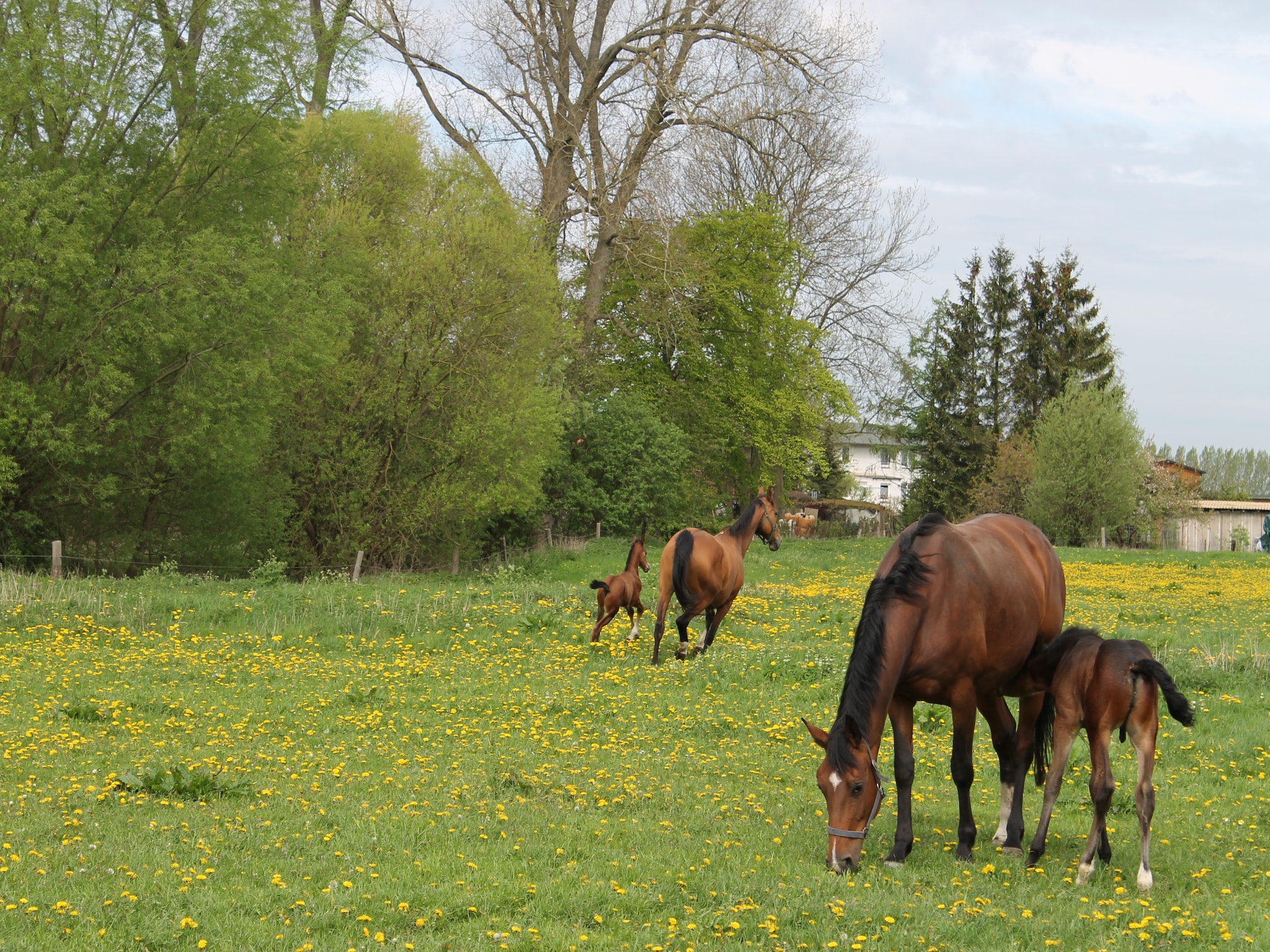   Am Hellbachtal Nr 2