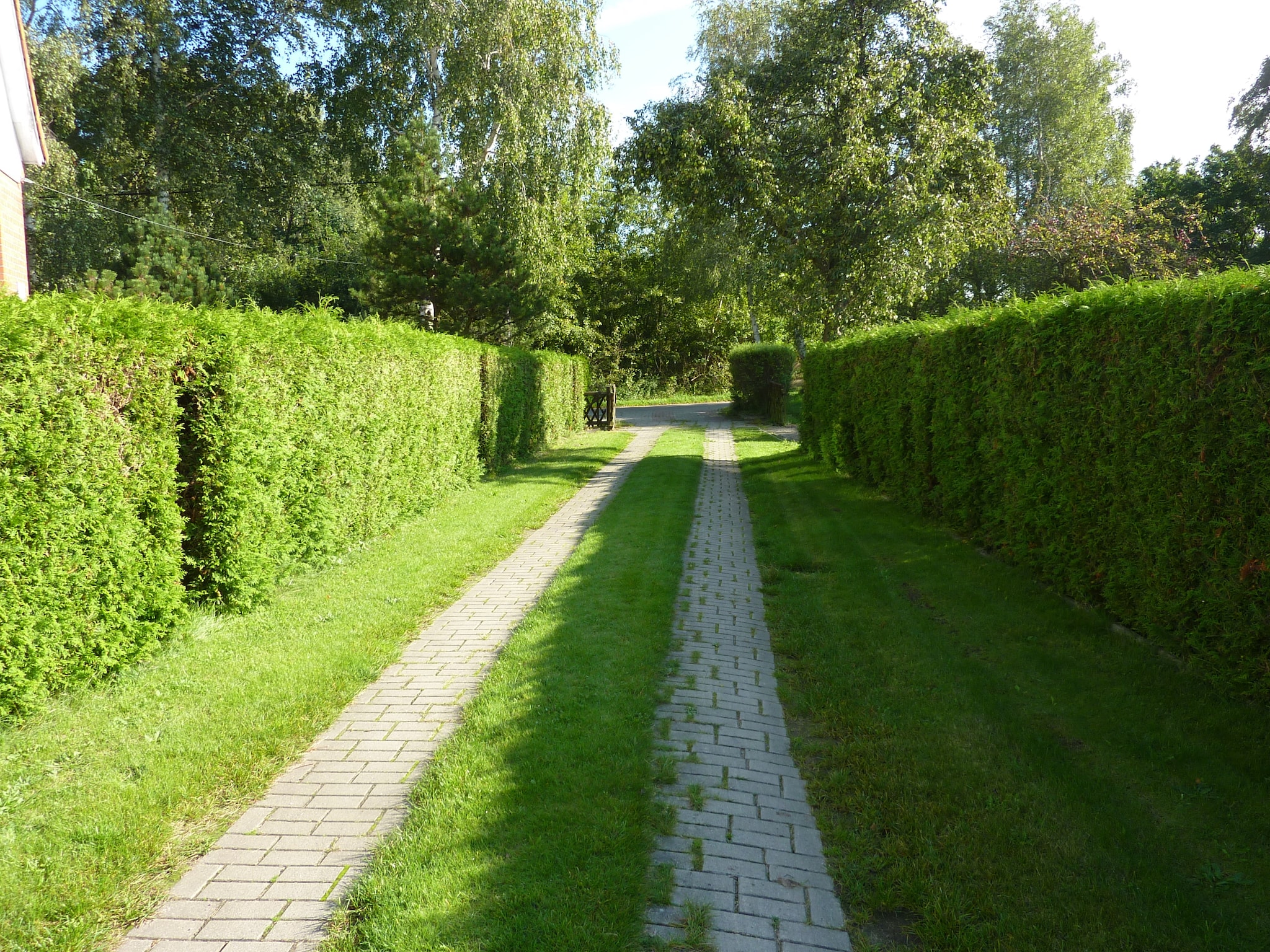   2-Raum-Ferienhaus Finn mit Terrasse